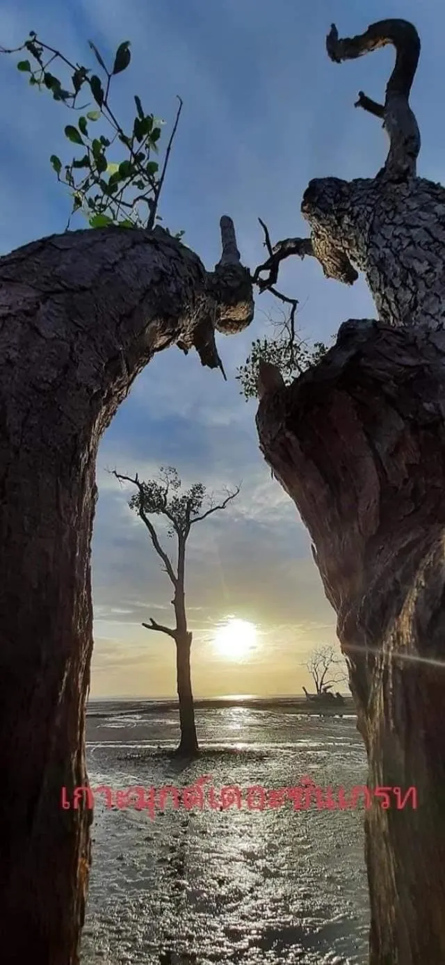 KOHMOOK THE SUN GREAT RESORT