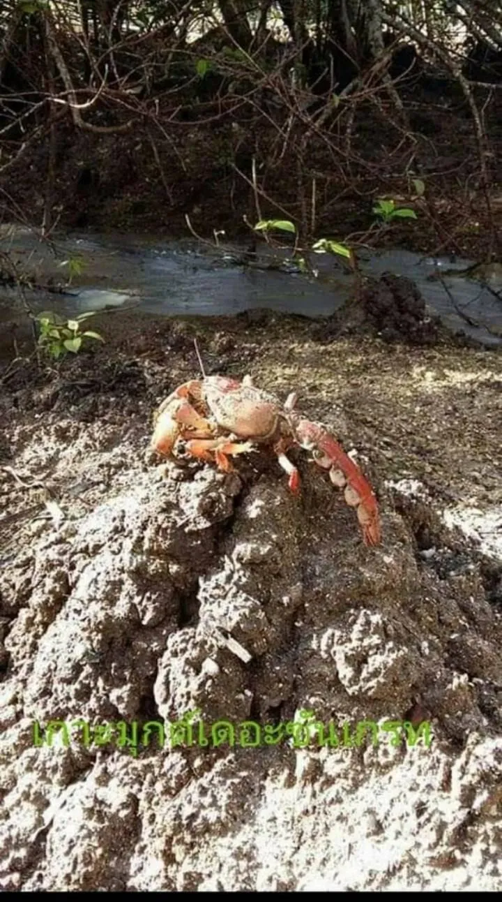 KOHMOOK THE SUN GREAT RESORT