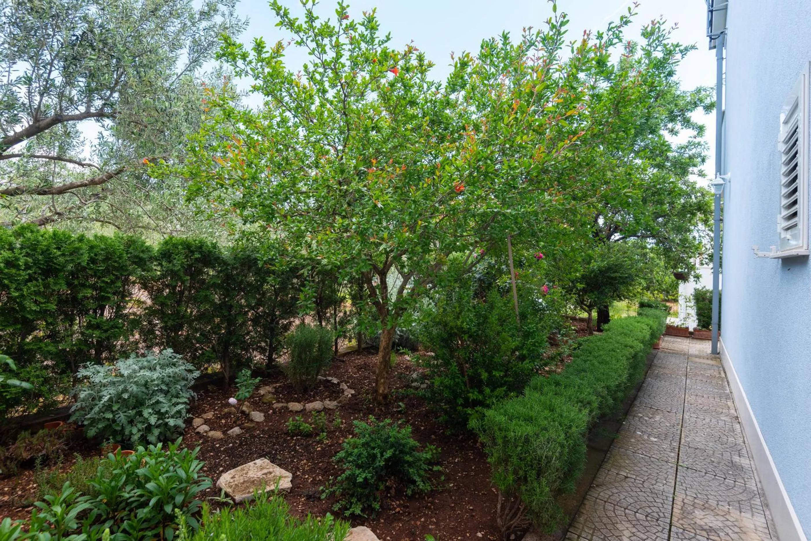 Garden in Apartments Ivana