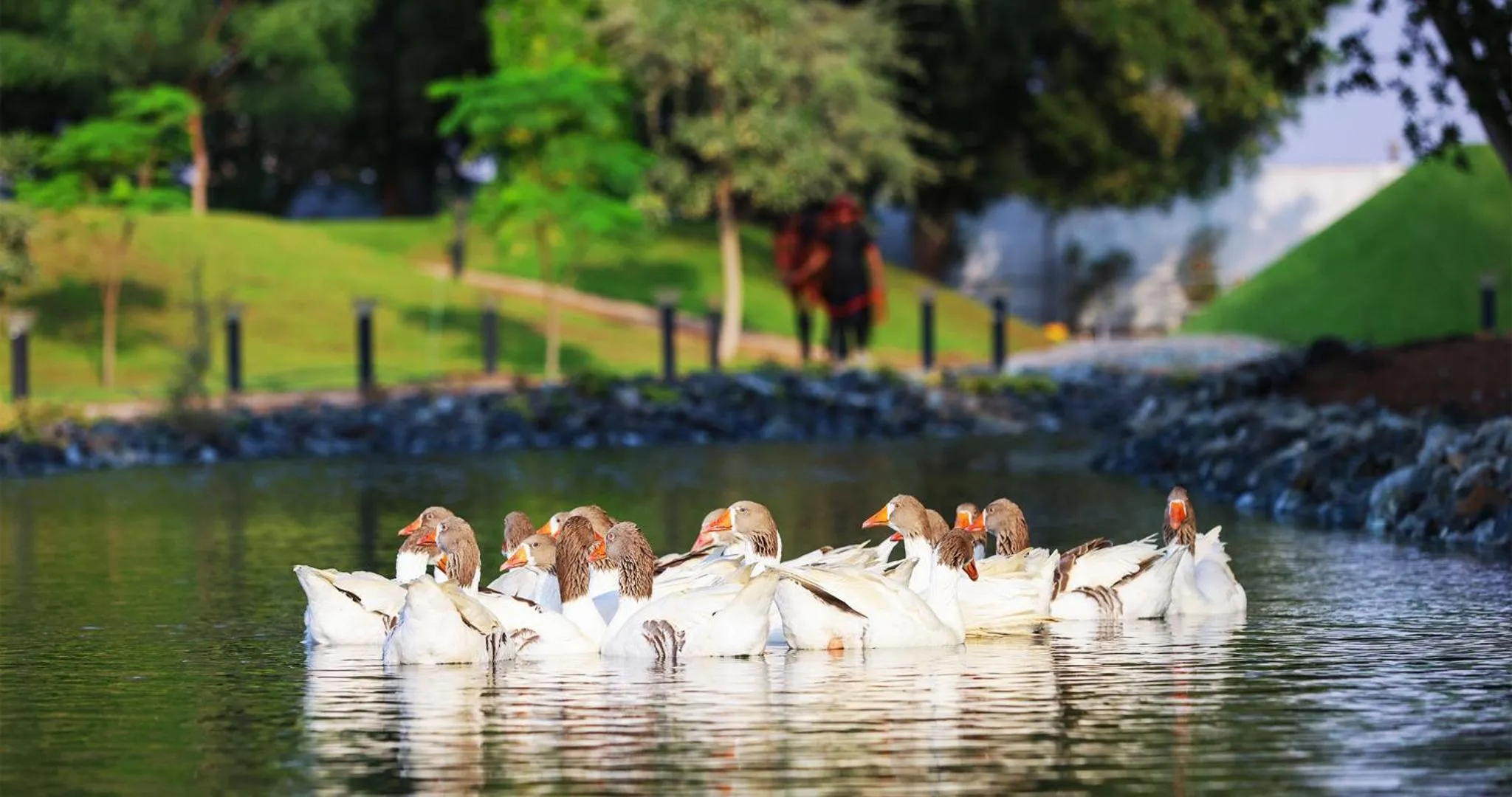 Day in Nirvana Retreat By Patanjali Wellness Initiative