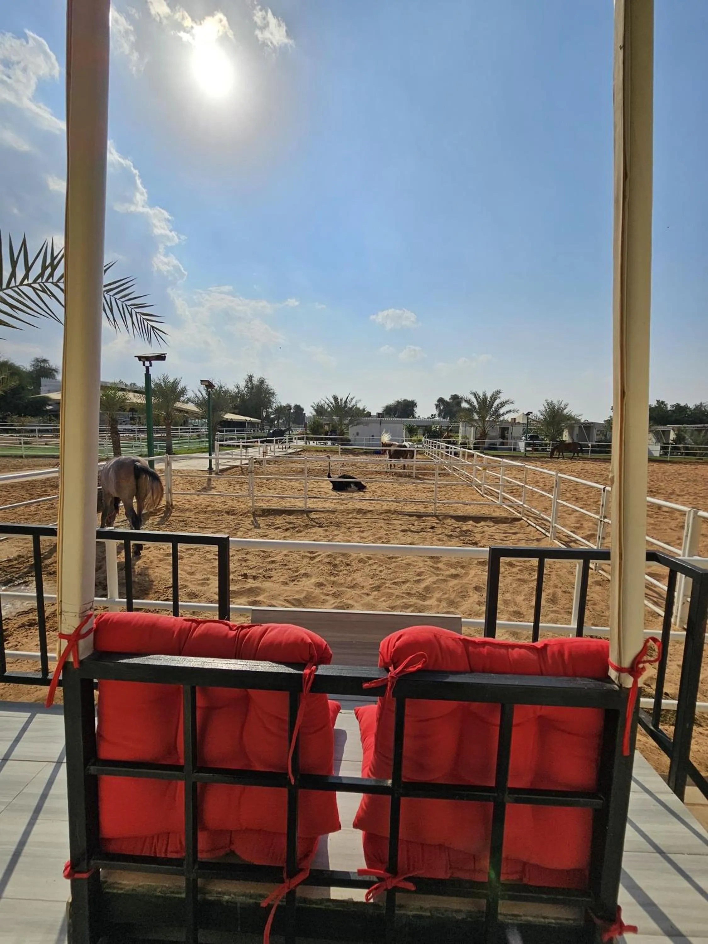 Seating area in Nirvana Retreat By Patanjali Wellness Initiative