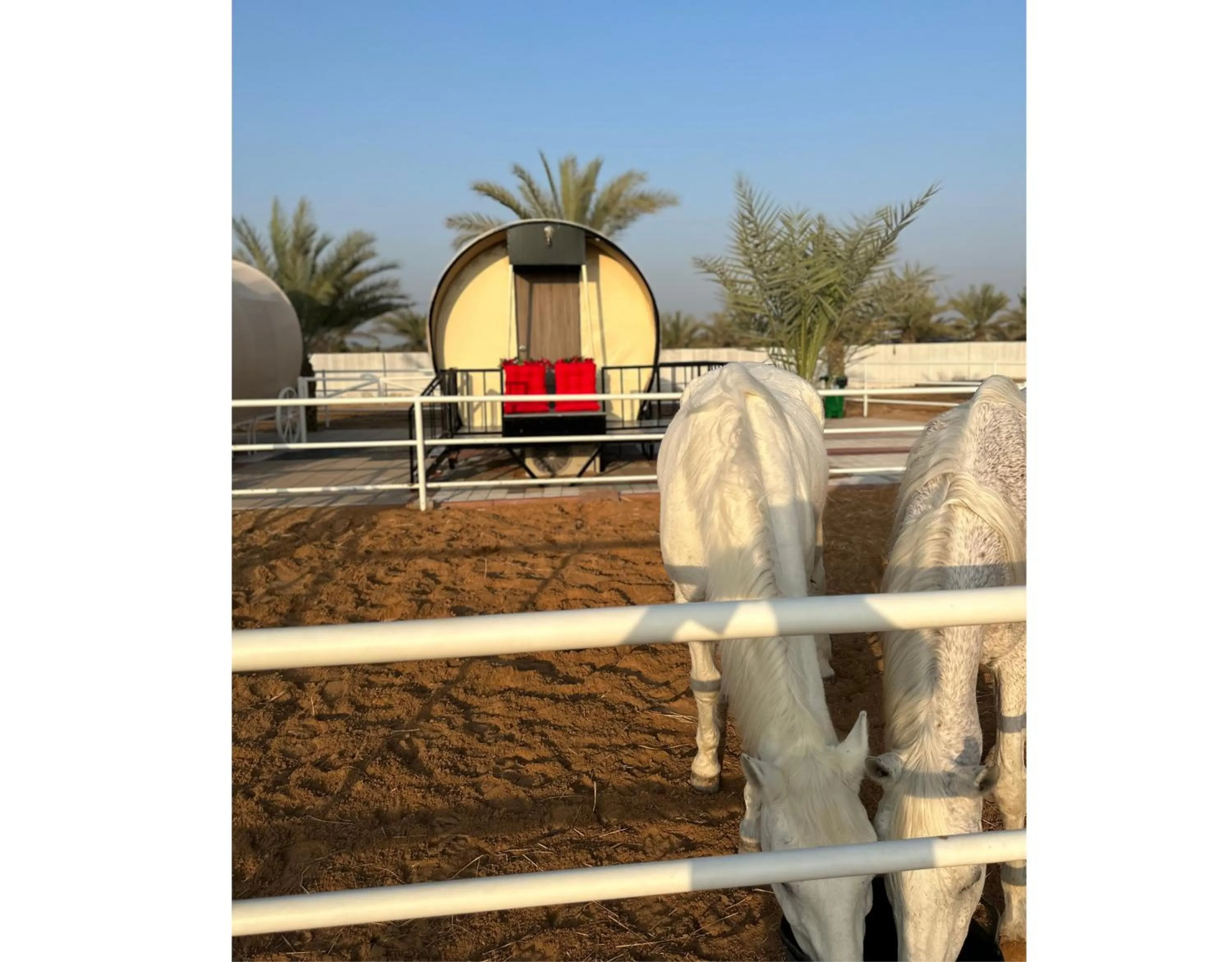 Property building in Nirvana Retreat By Patanjali Wellness Initiative