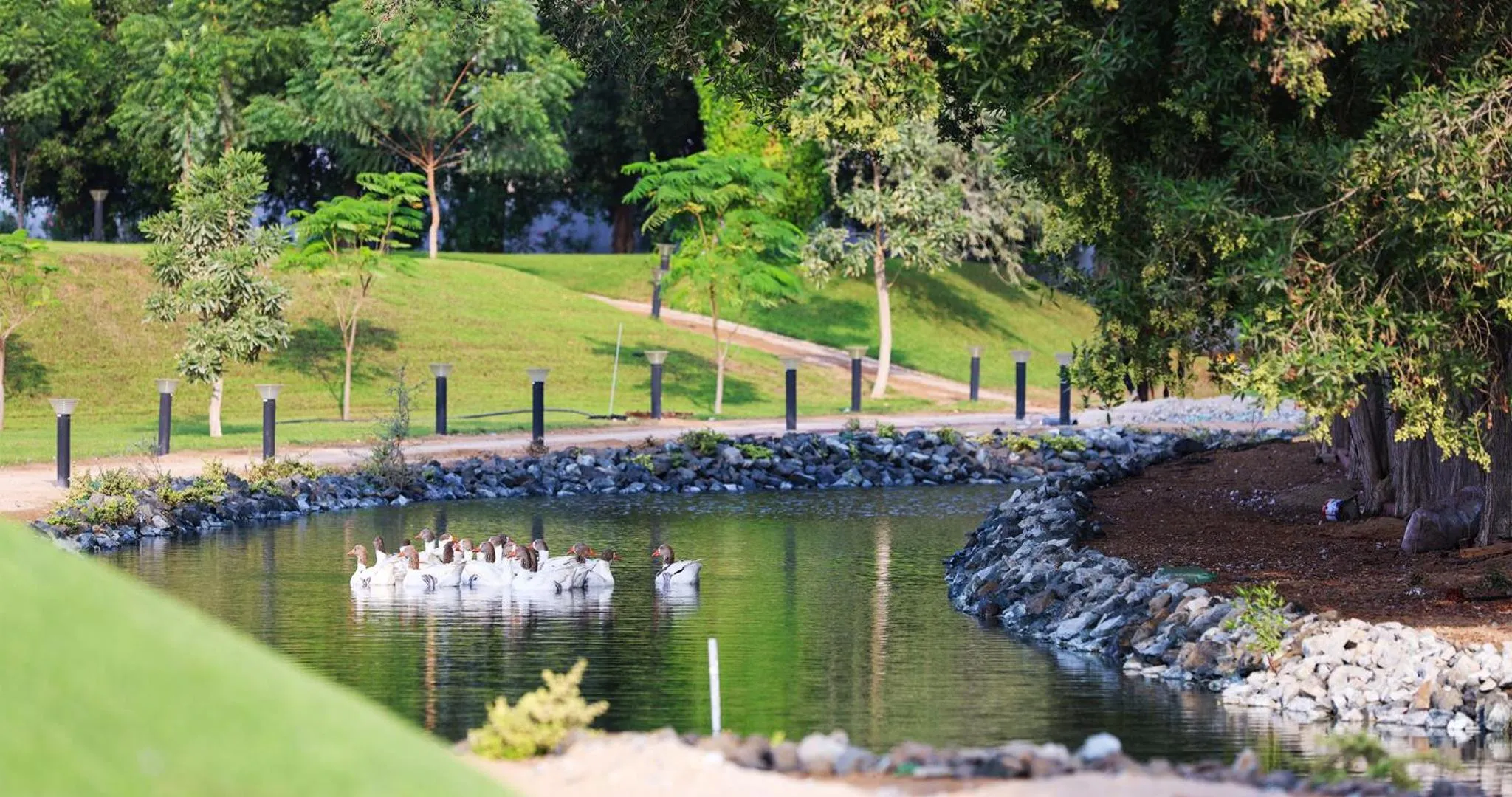 Day in Nirvana Retreat By Patanjali Wellness Initiative