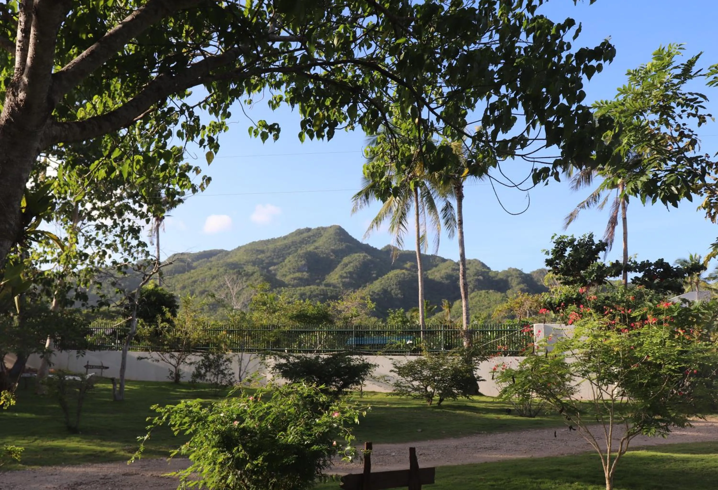 Garden in Island View Beachfront Resort