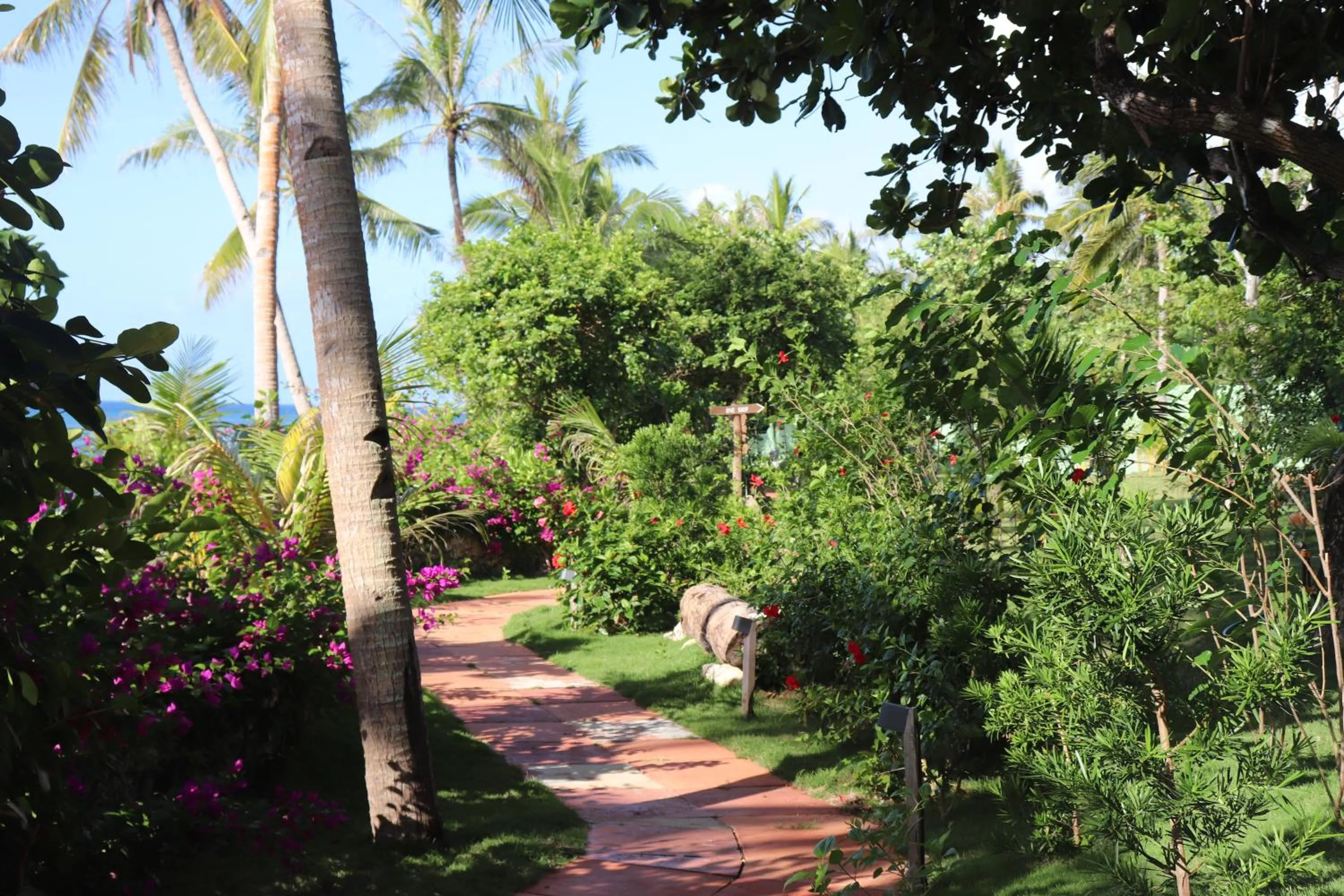 Garden in Island View Beachfront Resort