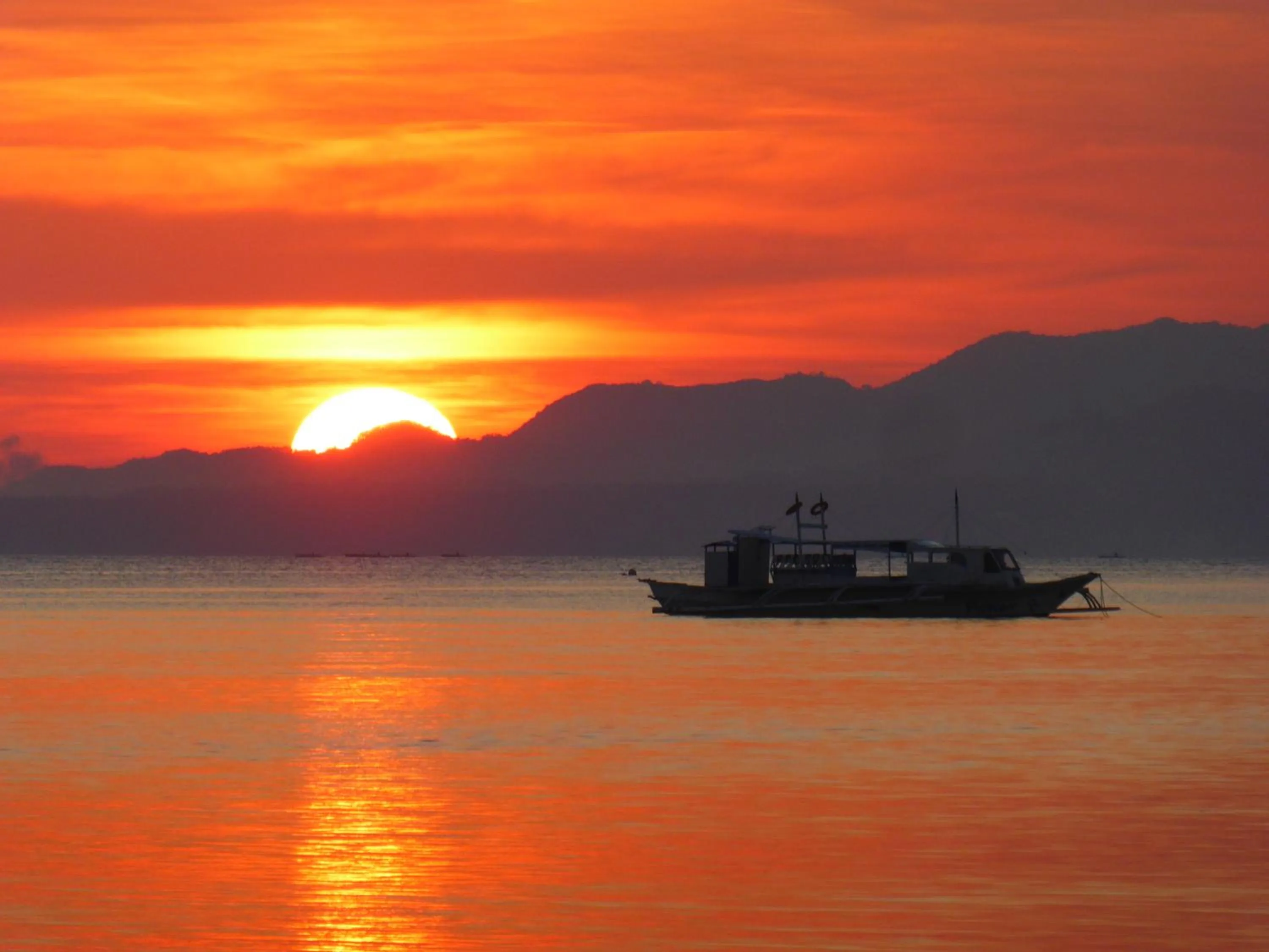 Natural landscape in Island View Beachfront Resort