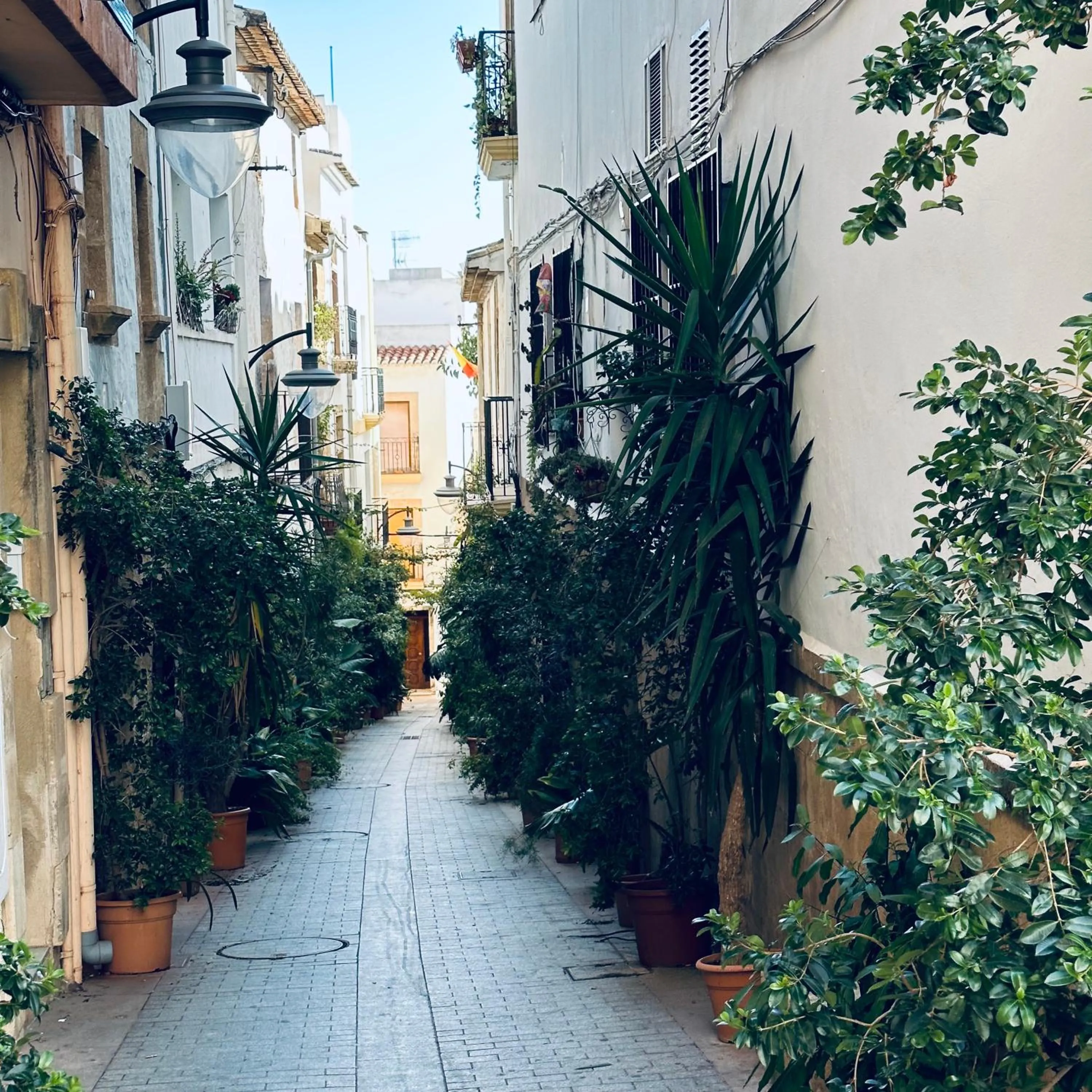 Neighbourhood in La Morada