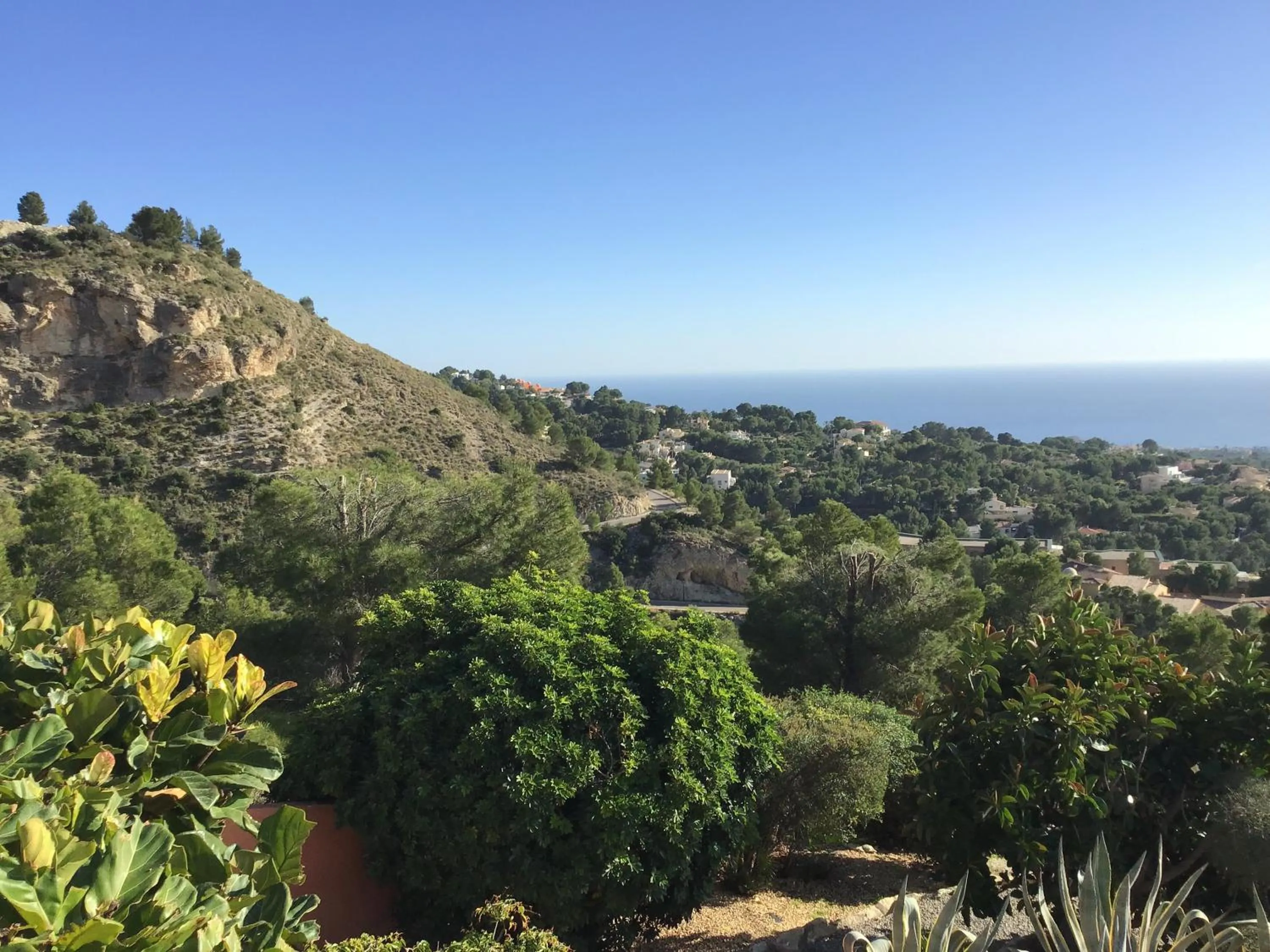 Garden in La Morada