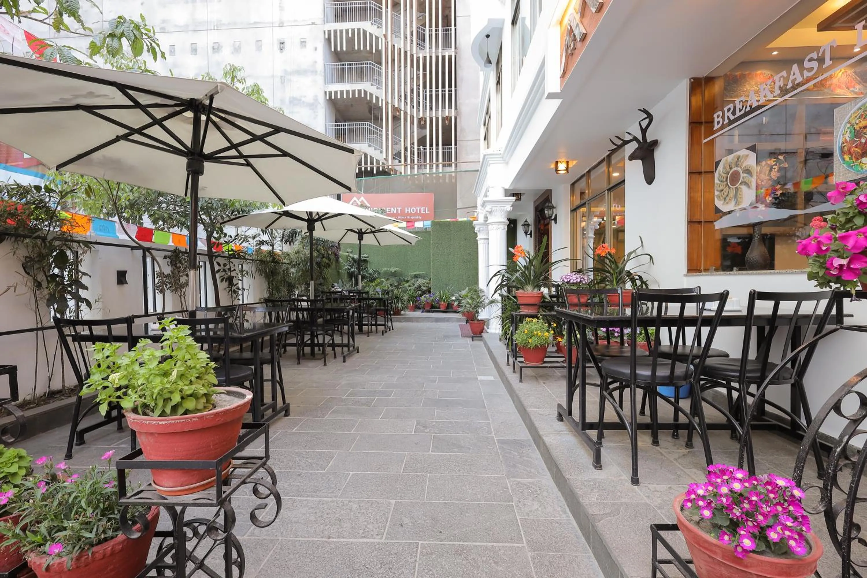 Restaurant/places to eat in Magnificent Hotel