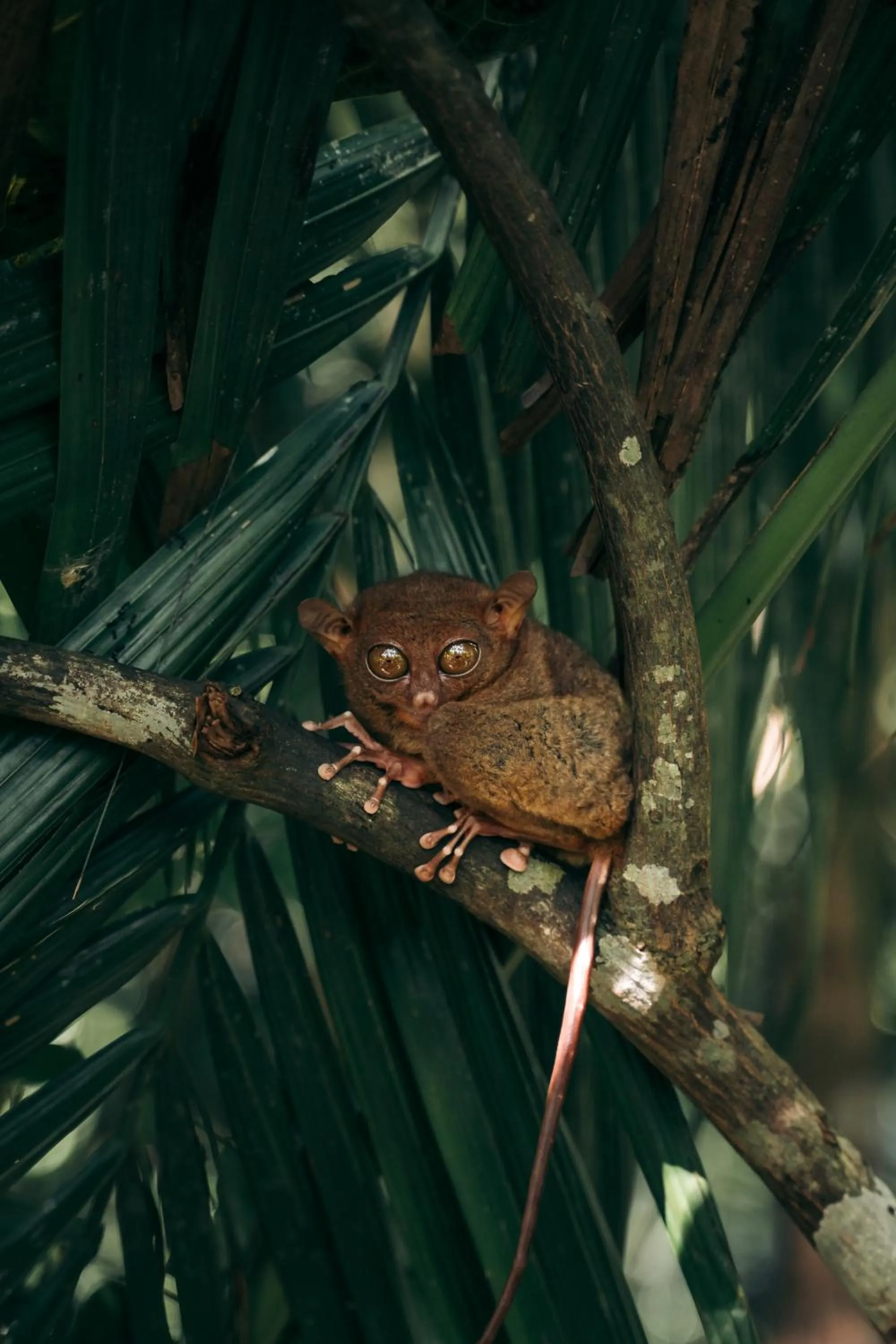 Activities in Seeya Hotel