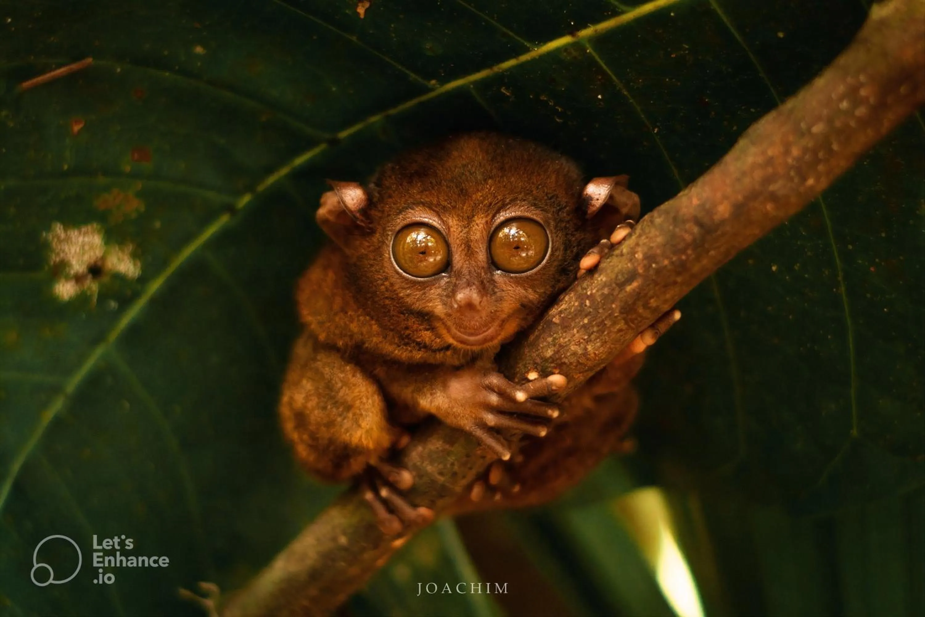 Nearby landmark in Seeya Hotel