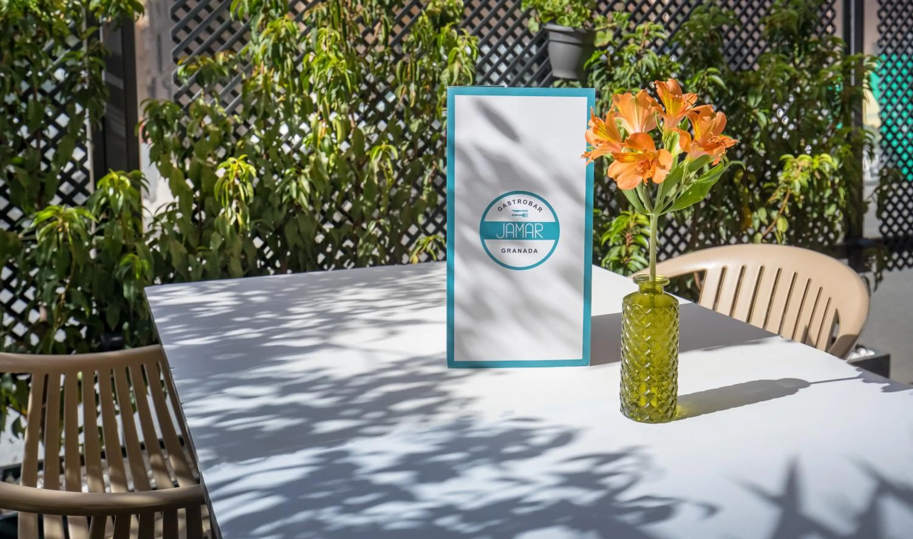 Day in Occidental Granada