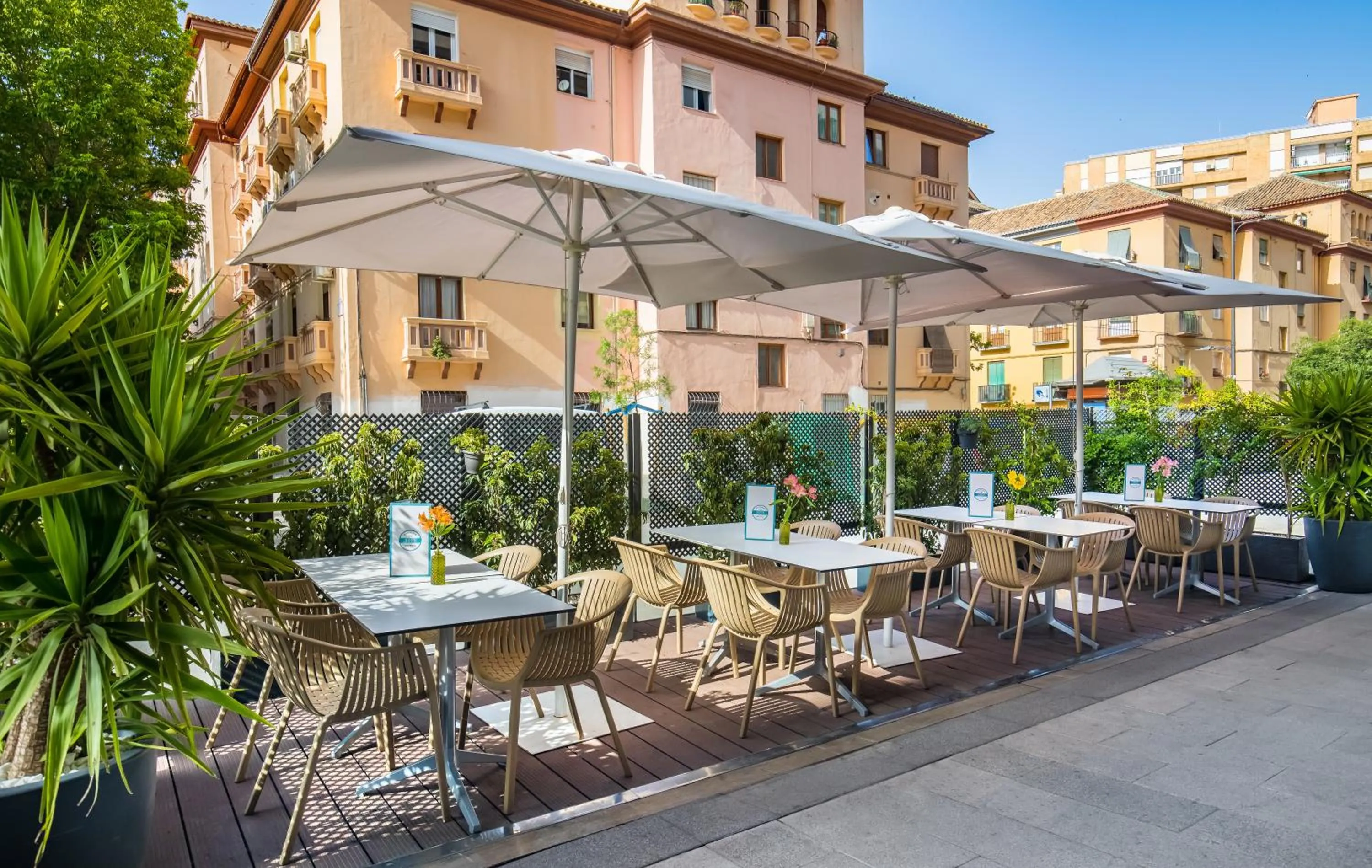 Day in Occidental Granada