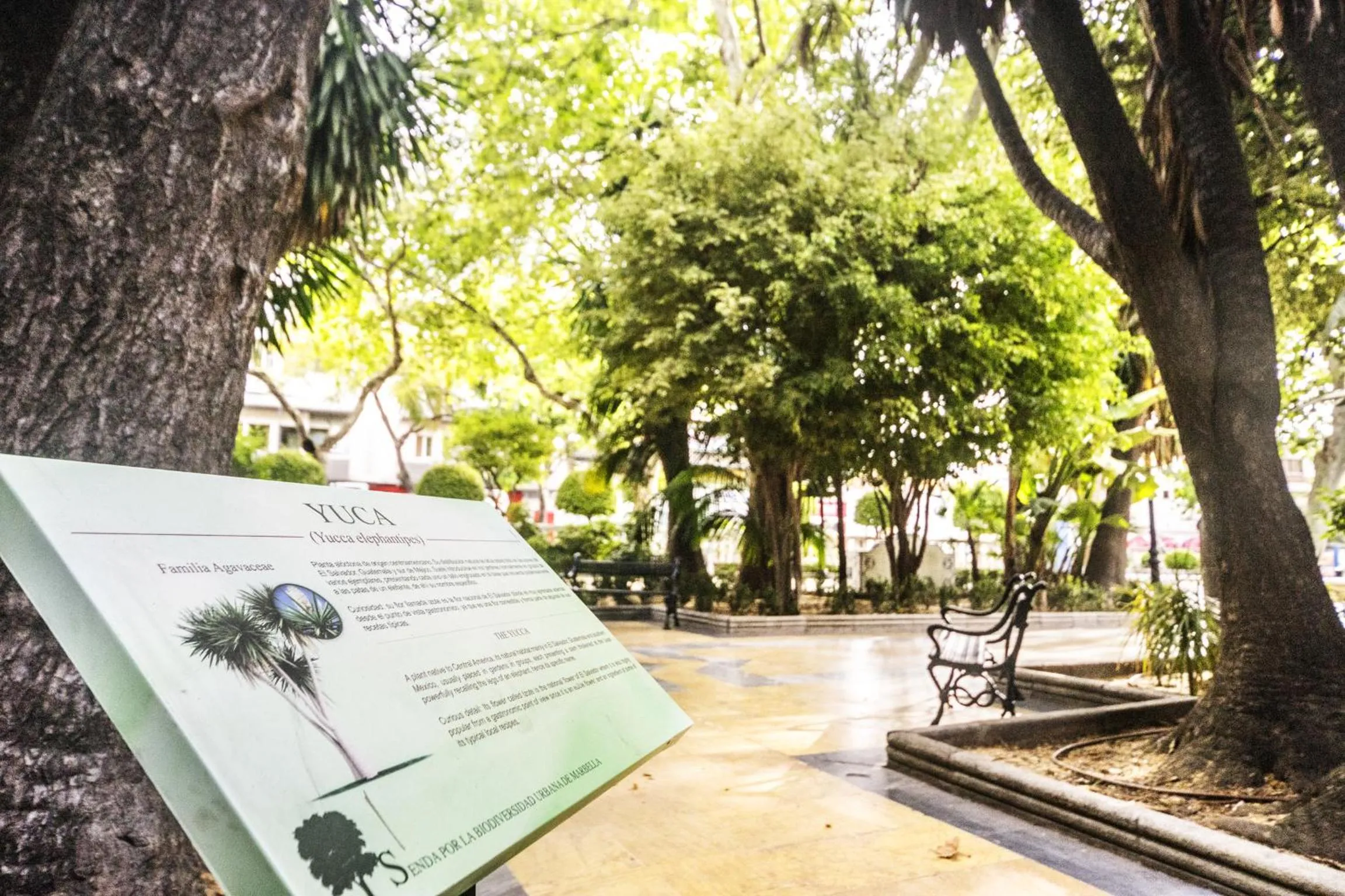 Natural landscape in Óbal Hotel Marbella