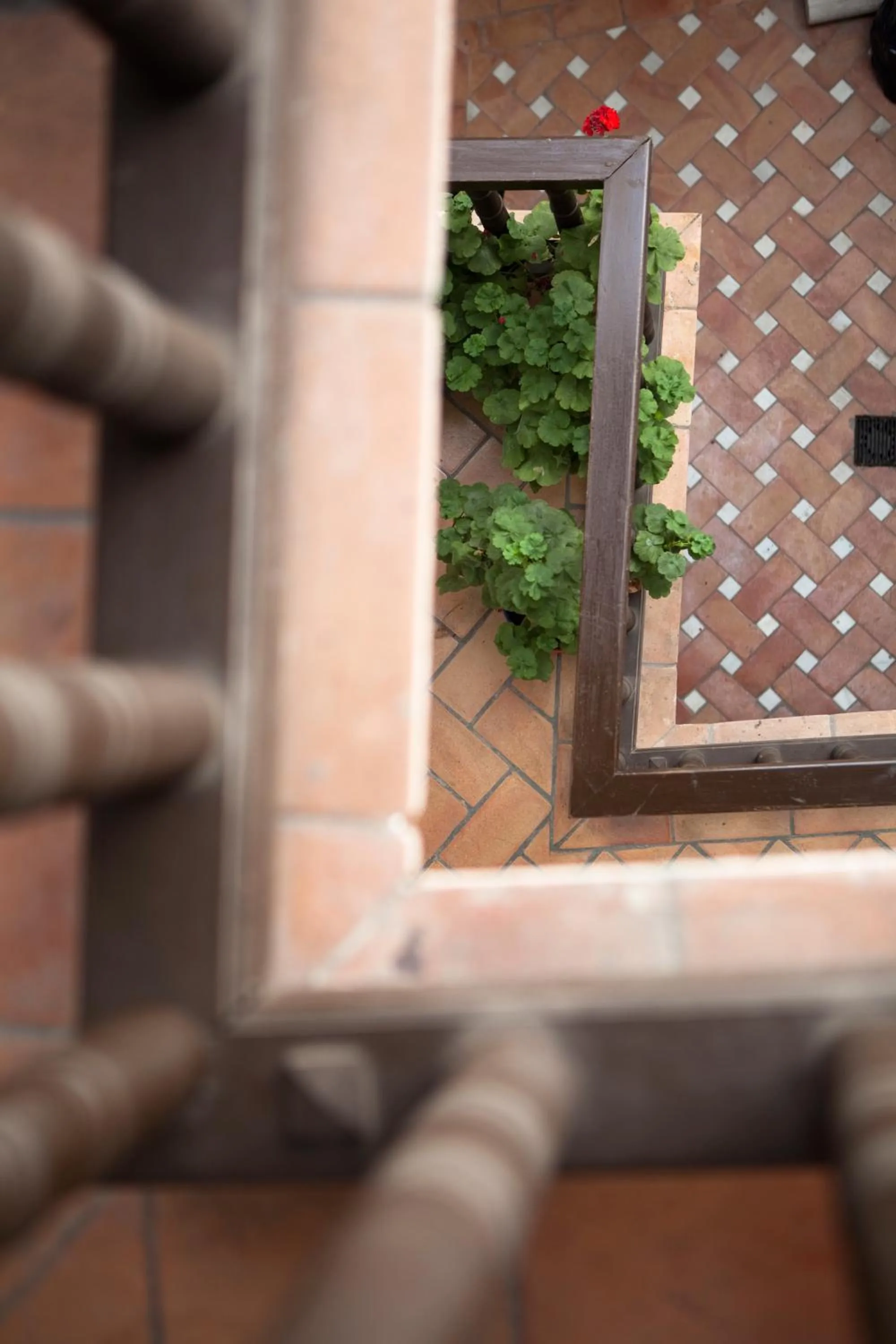 Inner courtyard view in Casa del Capitel Nazarí