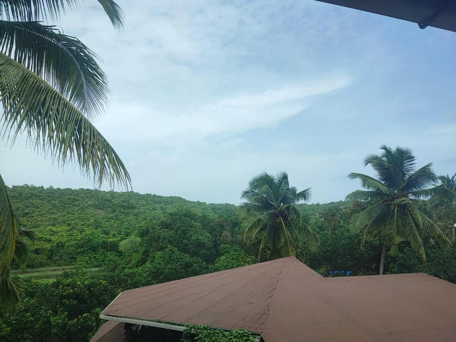View (from property/room) in The Verda De Miranda Resort Morjim North Goa