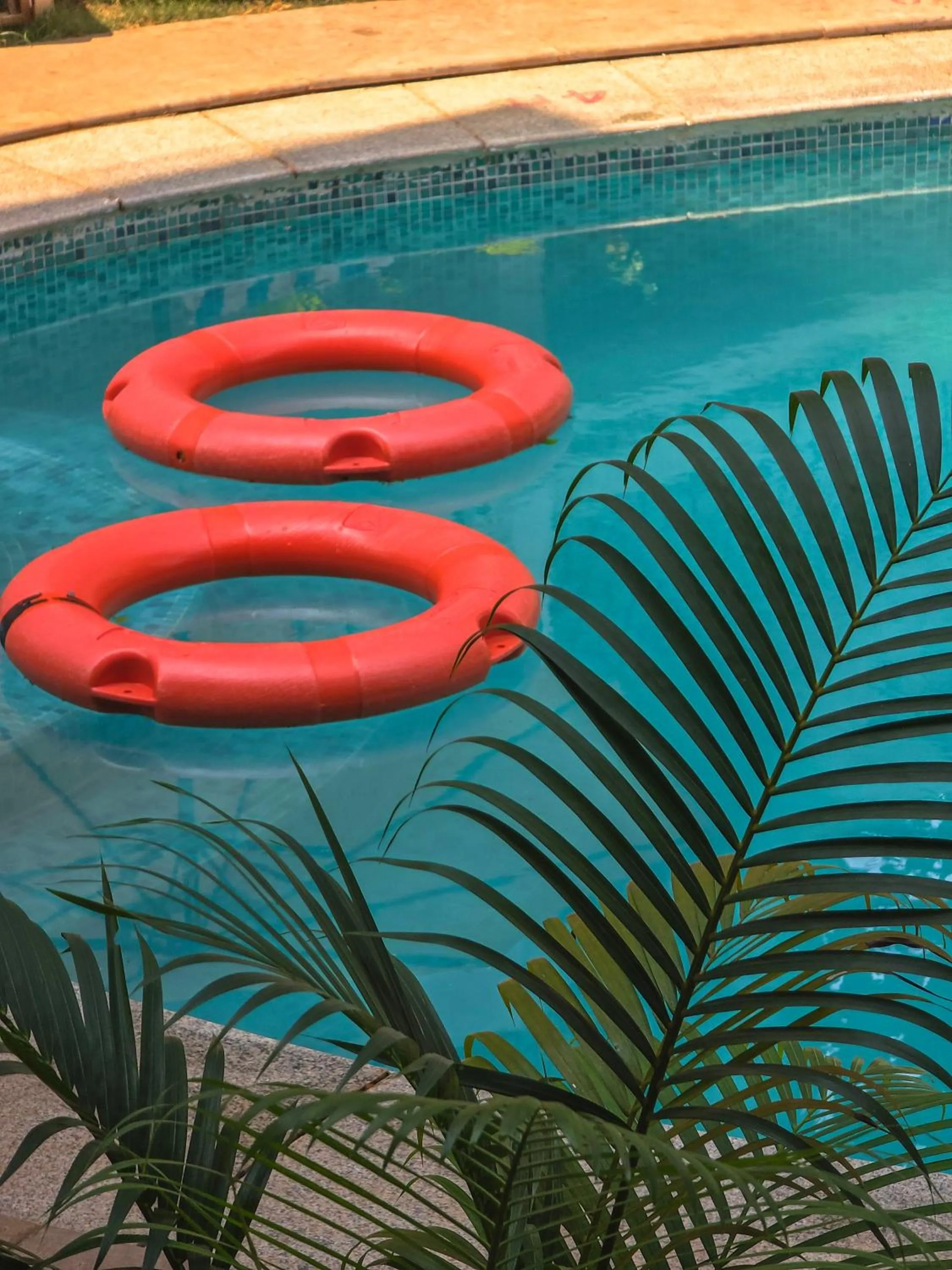 Day in The Verda De Miranda Resort Morjim North Goa