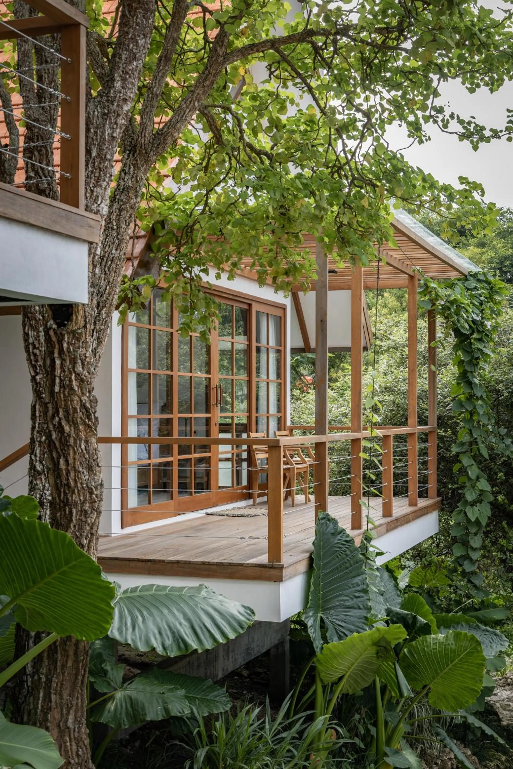 Property building in Deep Roots Dive & Yoga Resort