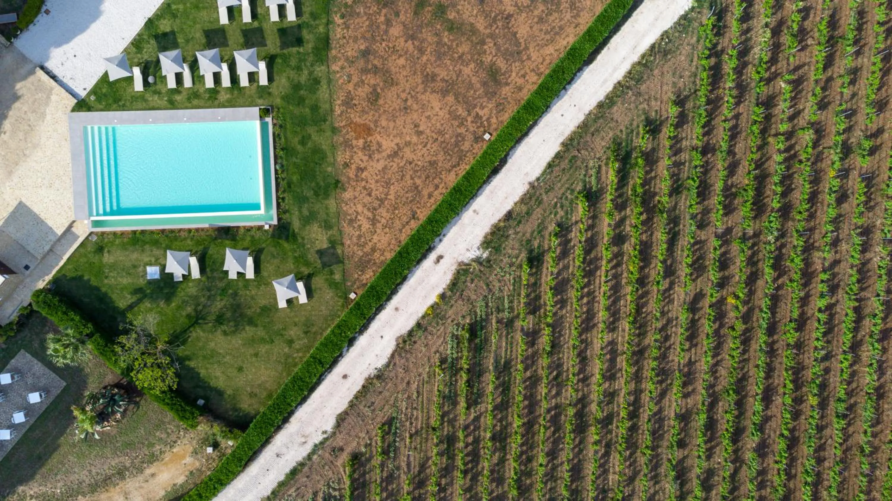 Swimming pool in Masseria del Carboj