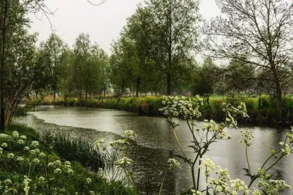 View (from property/room) in Talbooth House & Spa