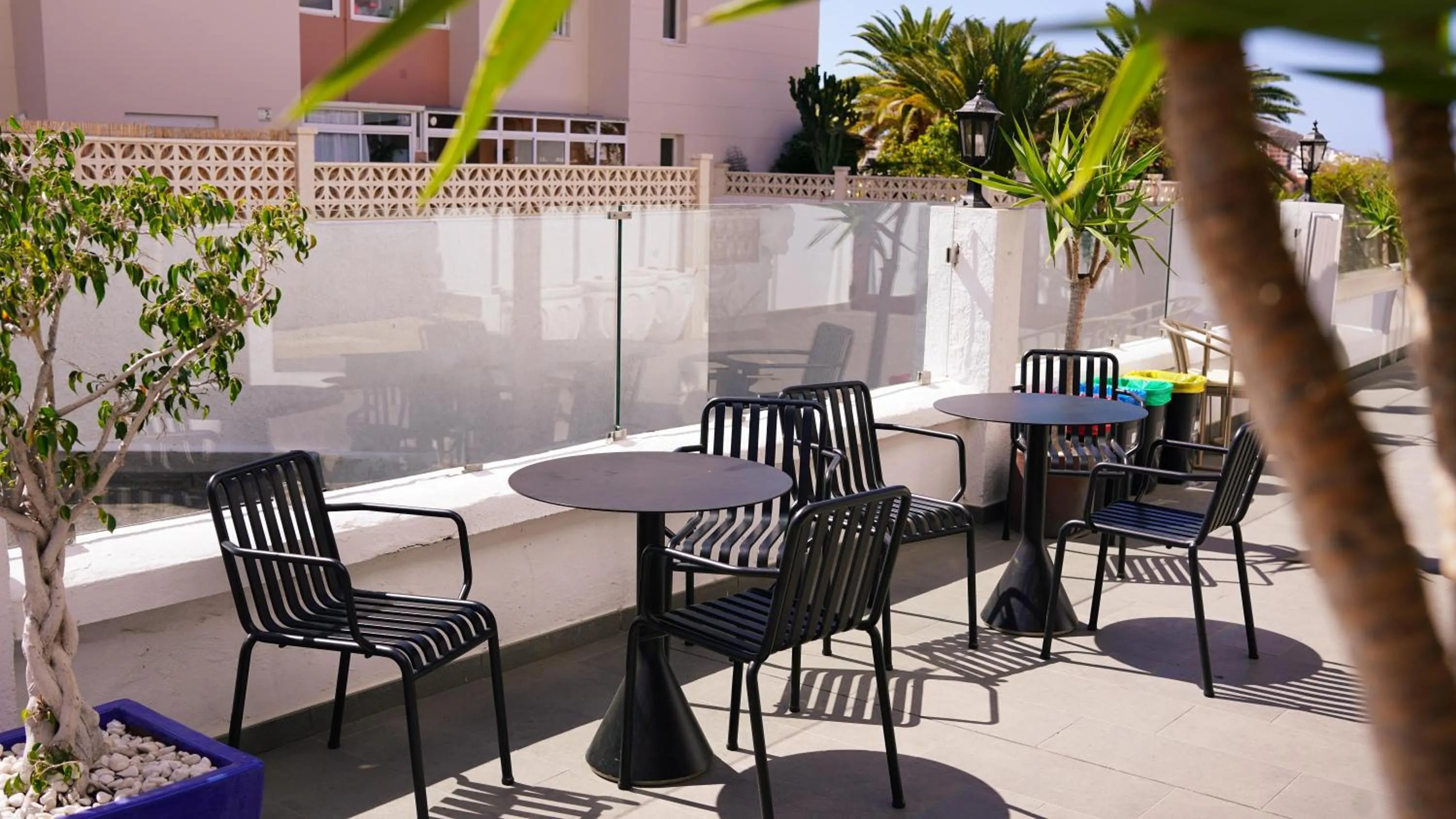 Balcony/Terrace in Coral Los Alisios