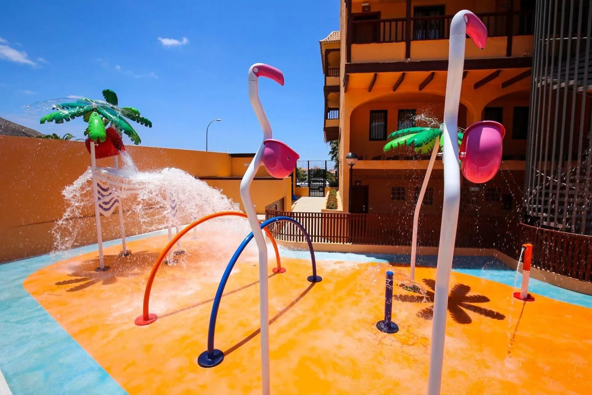 Activities in Coral Los Alisios