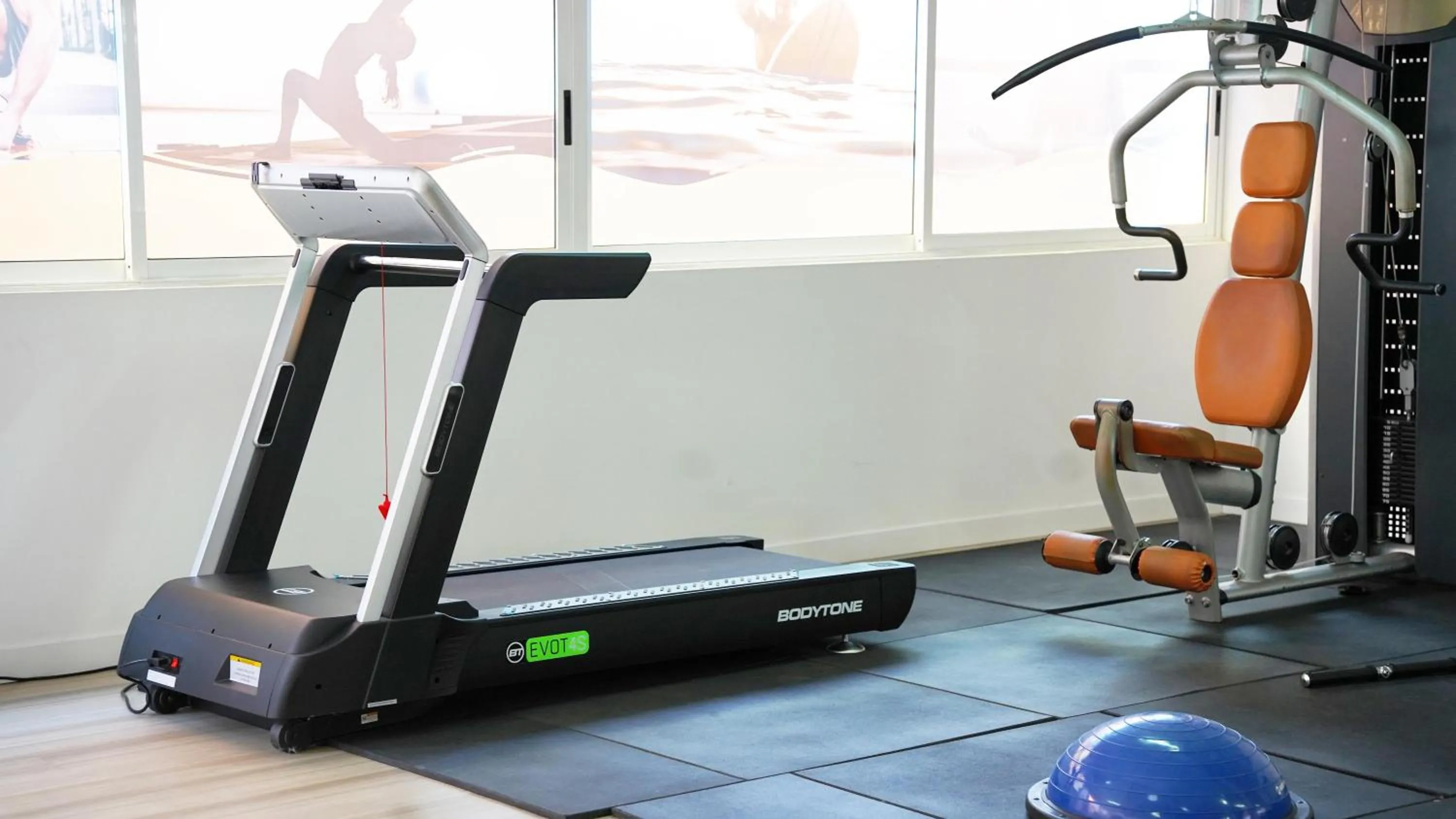 Activities in Coral Los Alisios