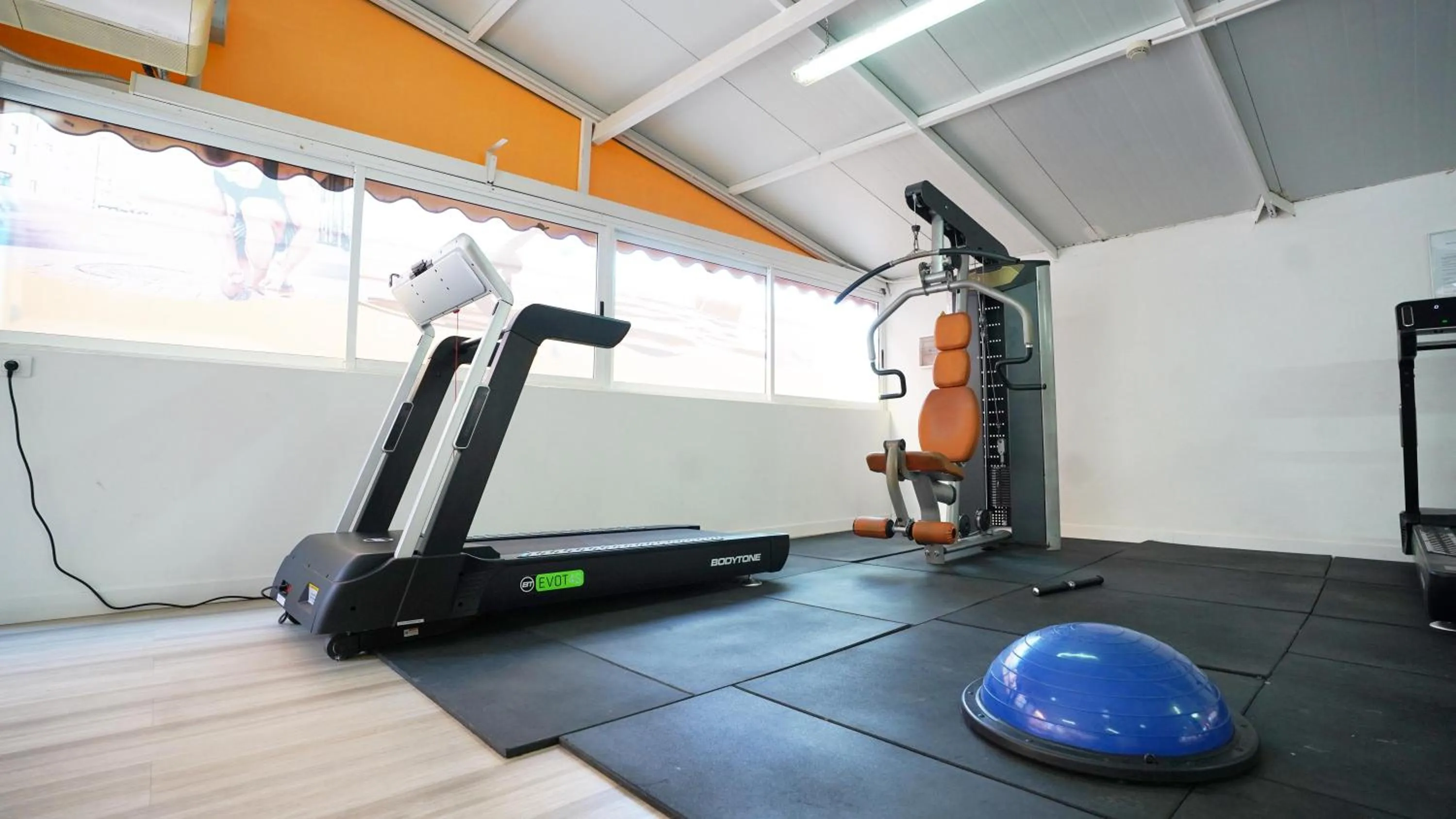 Activities in Coral Los Alisios