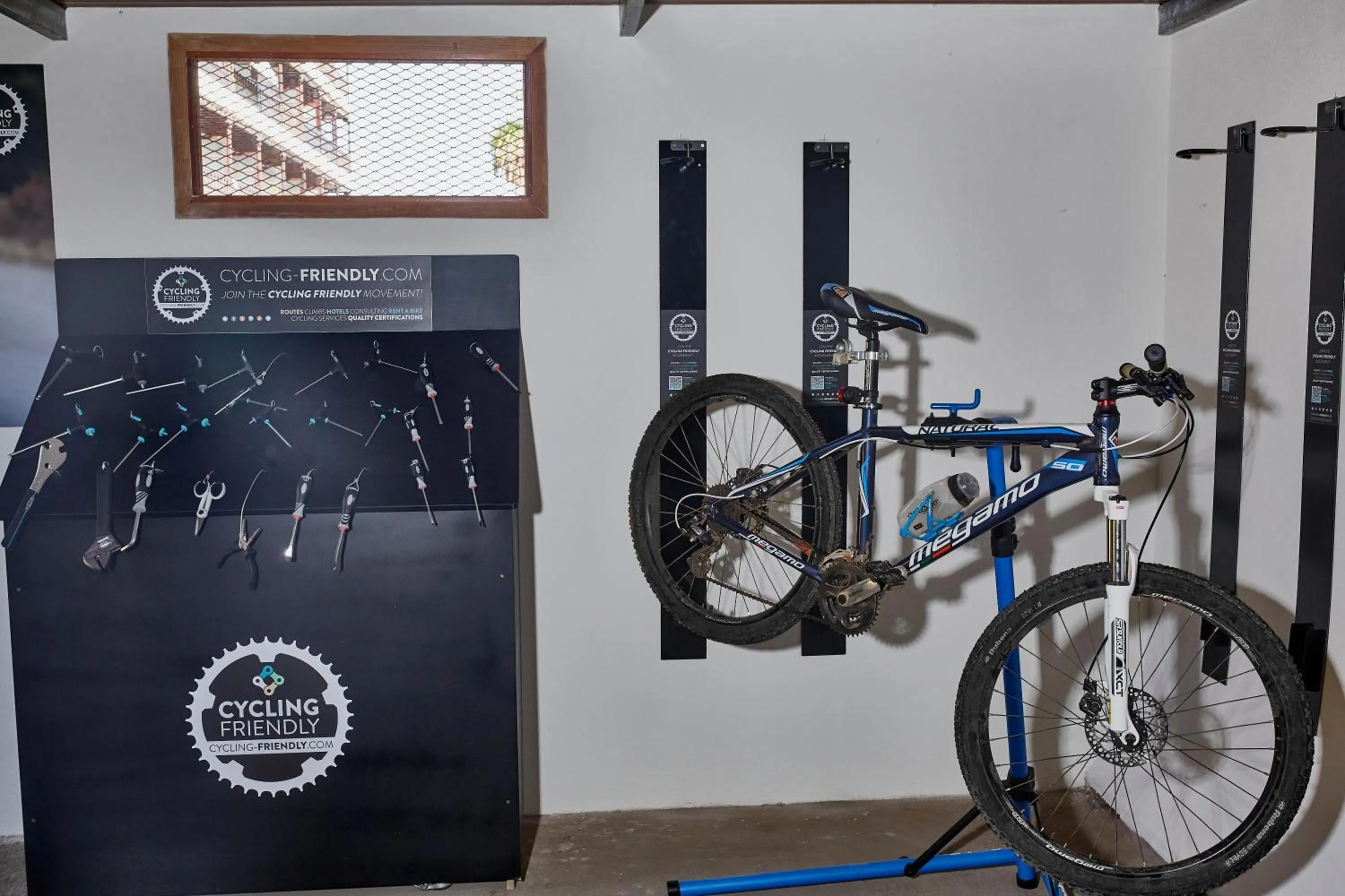 Activities in Coral Teide Mar