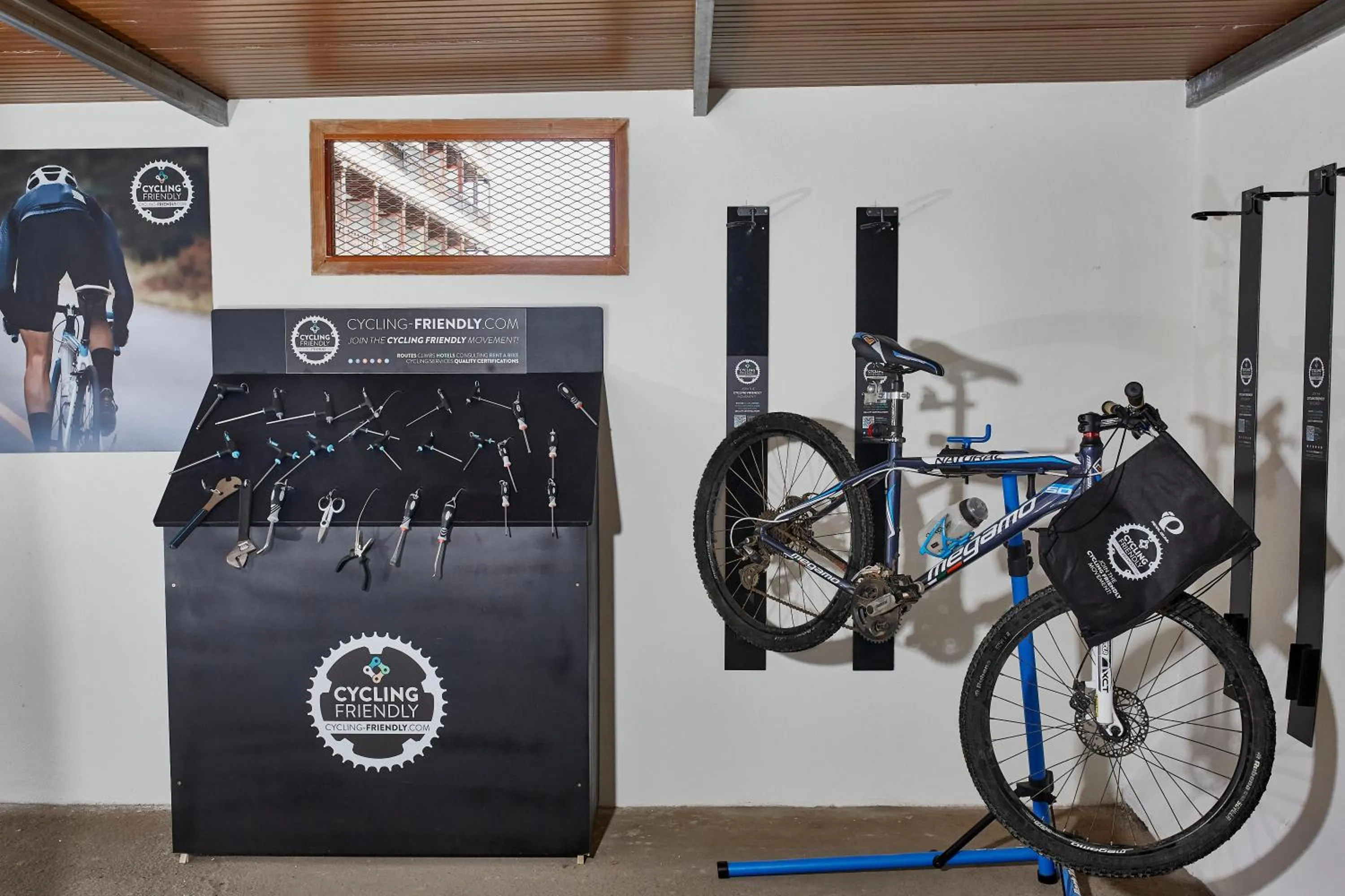 Activities in Coral Teide Mar