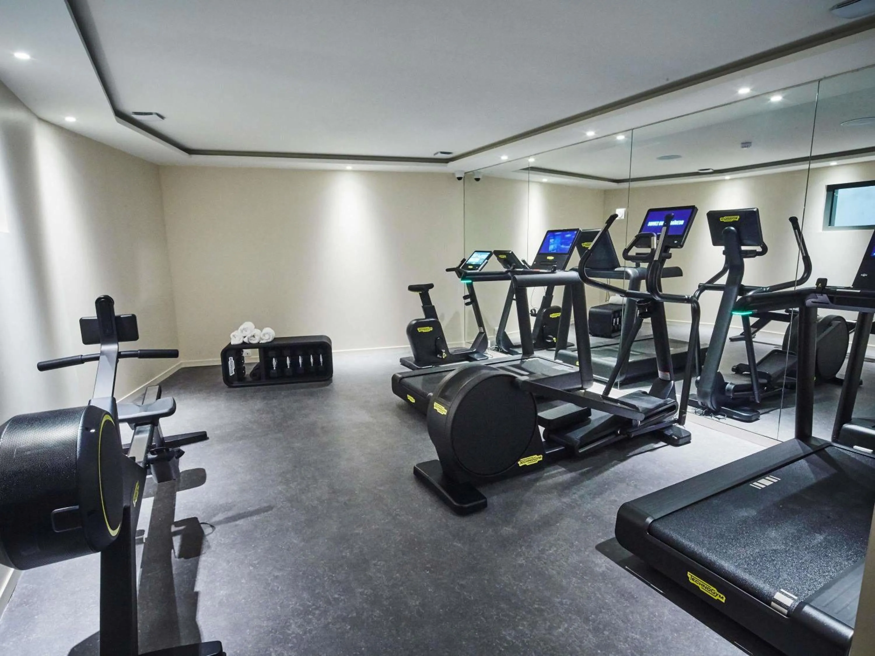 Fitness centre/facilities in La Licorne Hotel & Spa Troyes - MGallery Collection