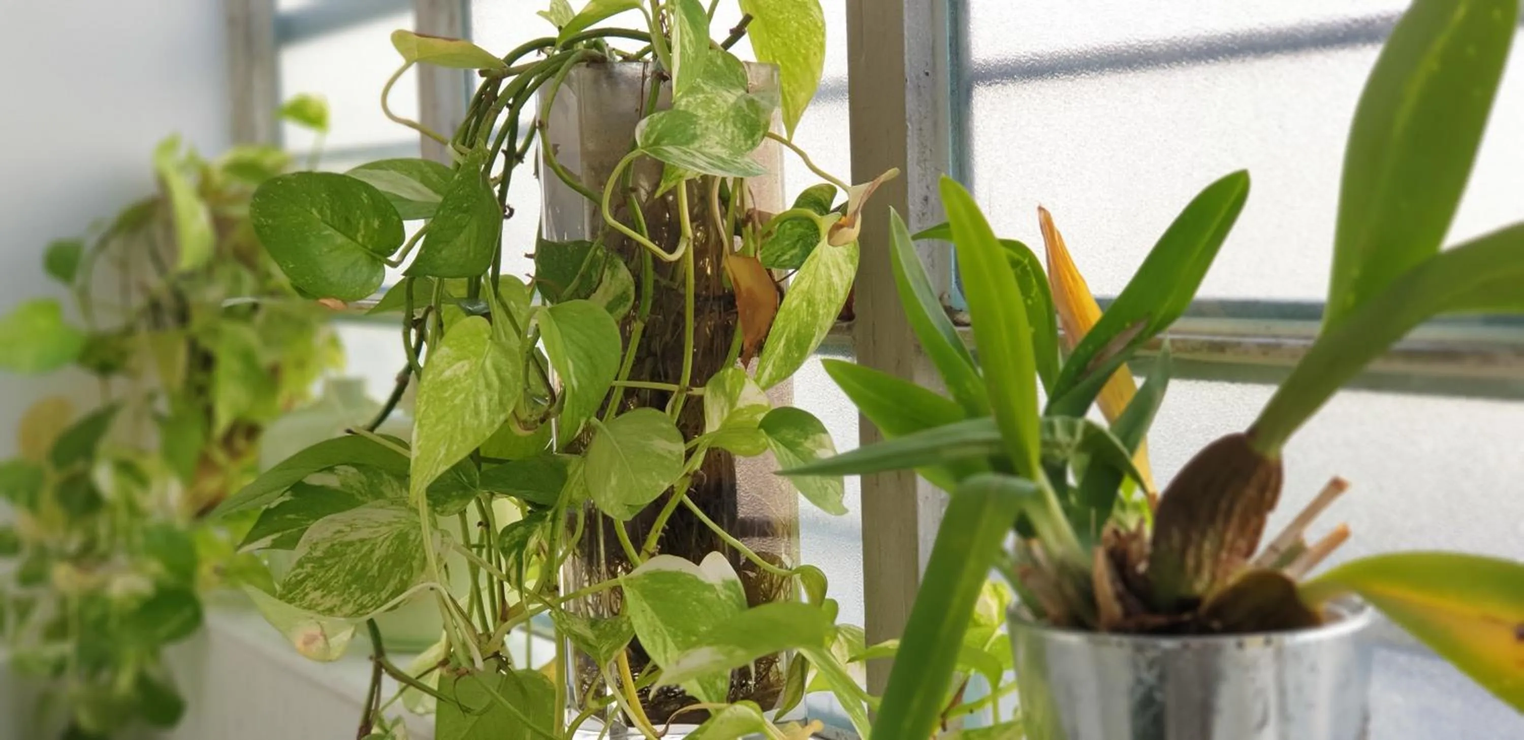 Bathroom in MY PLACE Suite Apartment - Milano Navigli