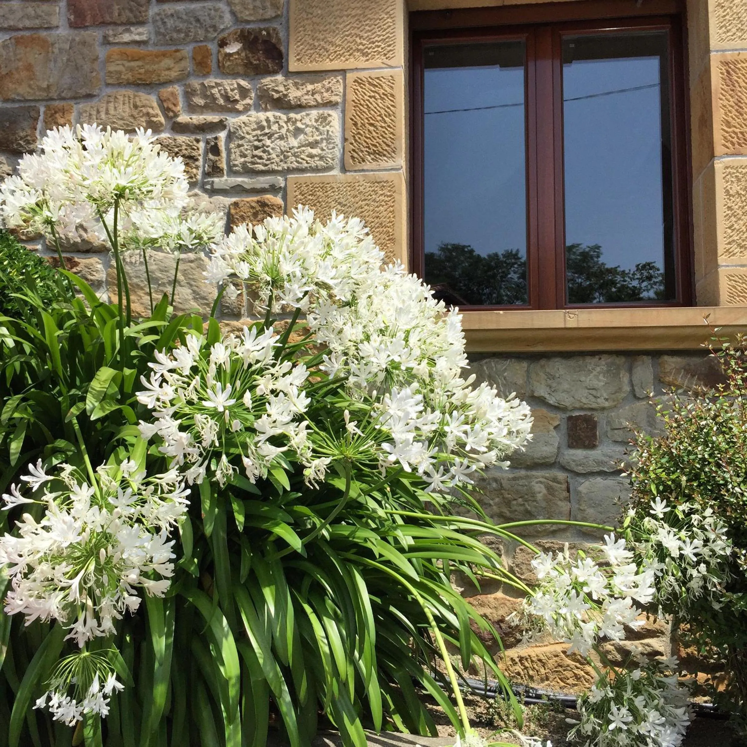 Facade/entrance in Hotel Artetxe
