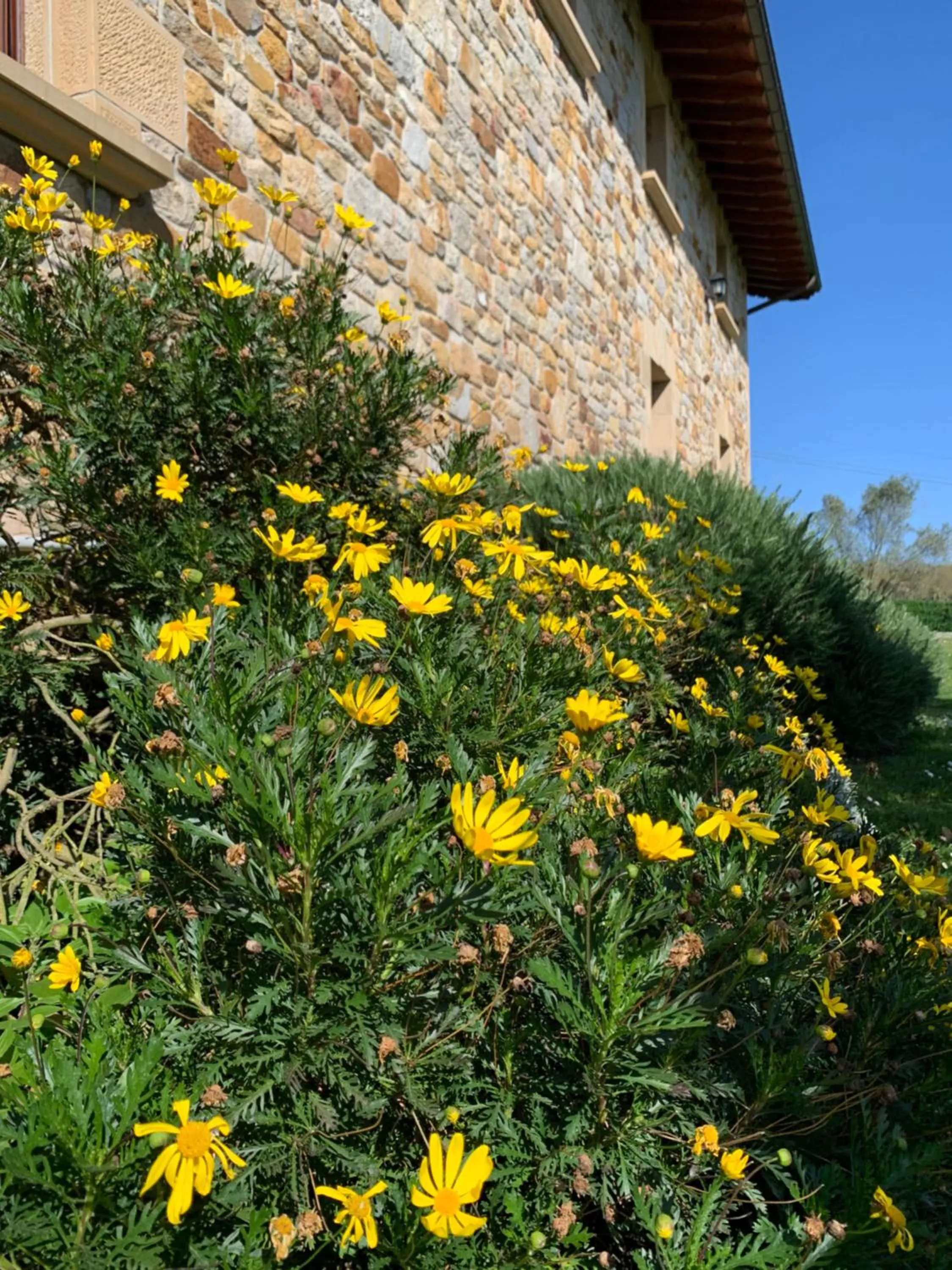 Spring in Hotel Artetxe