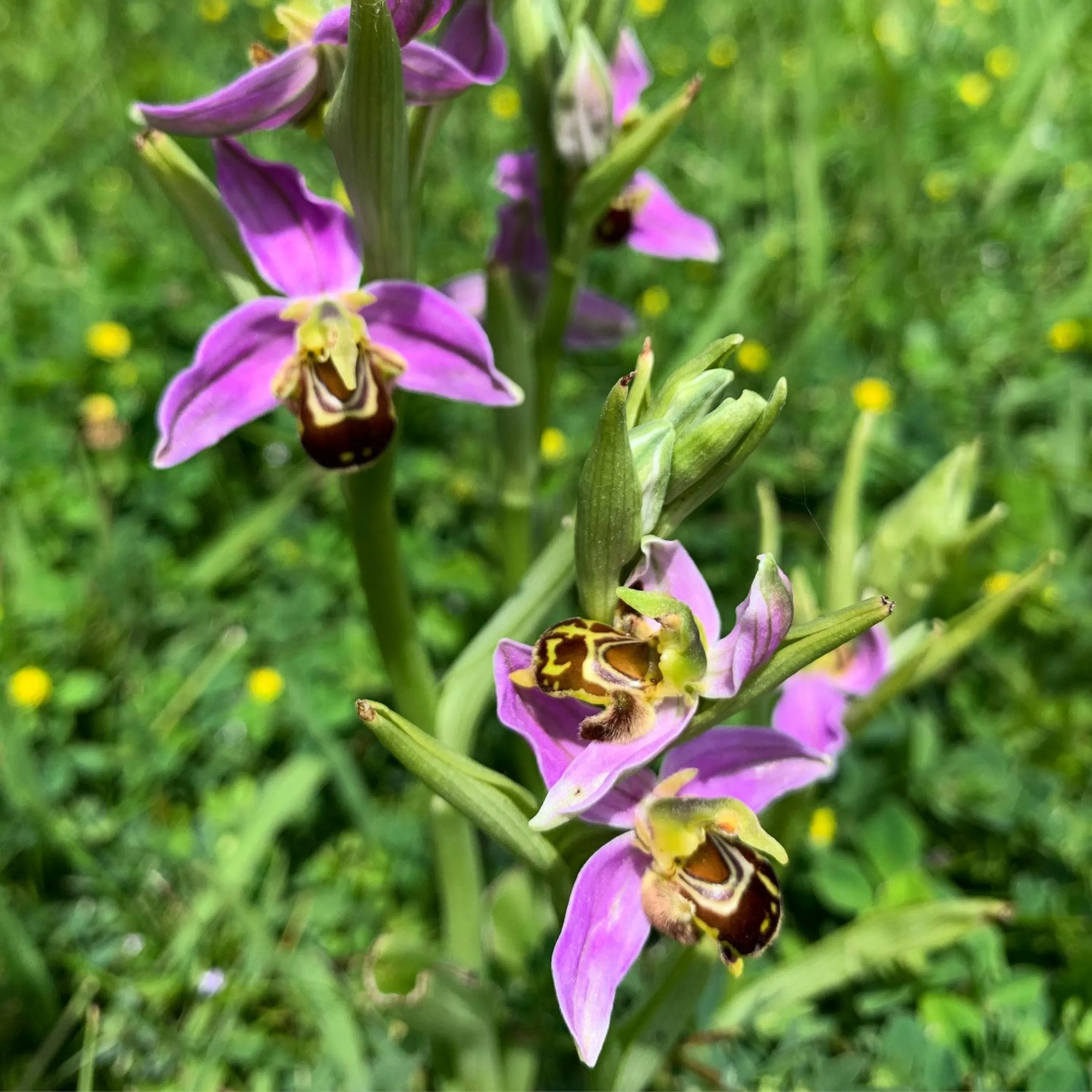 Spring in Hotel Artetxe