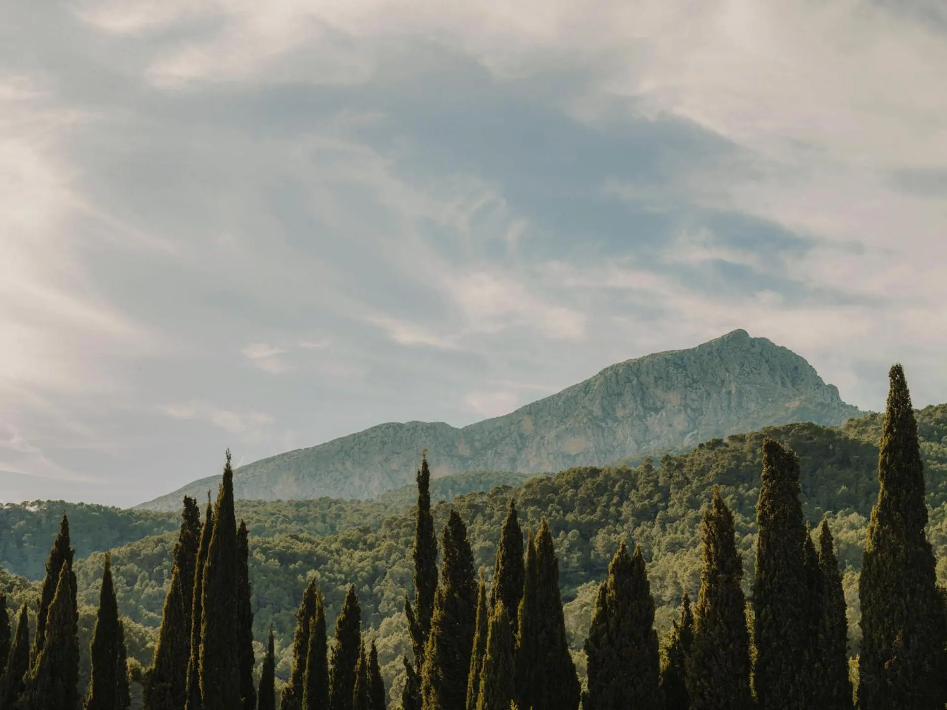 Nearby landmark in Grand Hotel Son Net