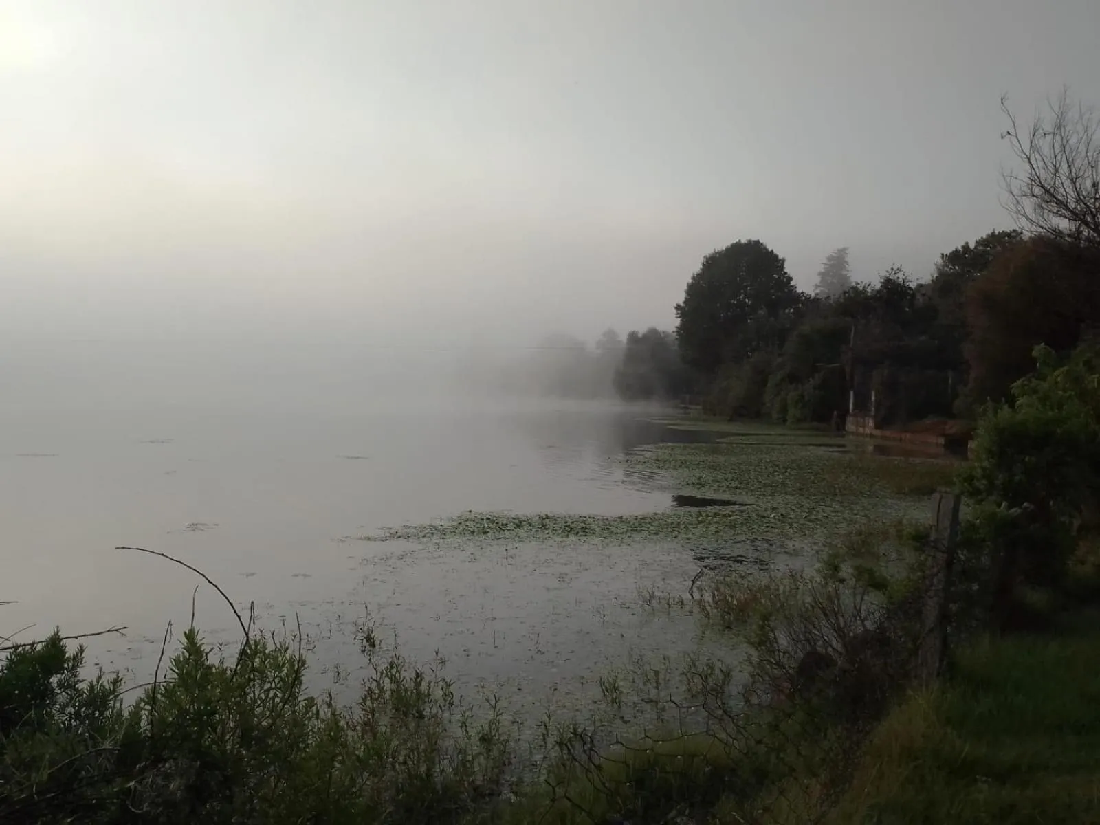 Natural landscape in MASIA ARAMENI