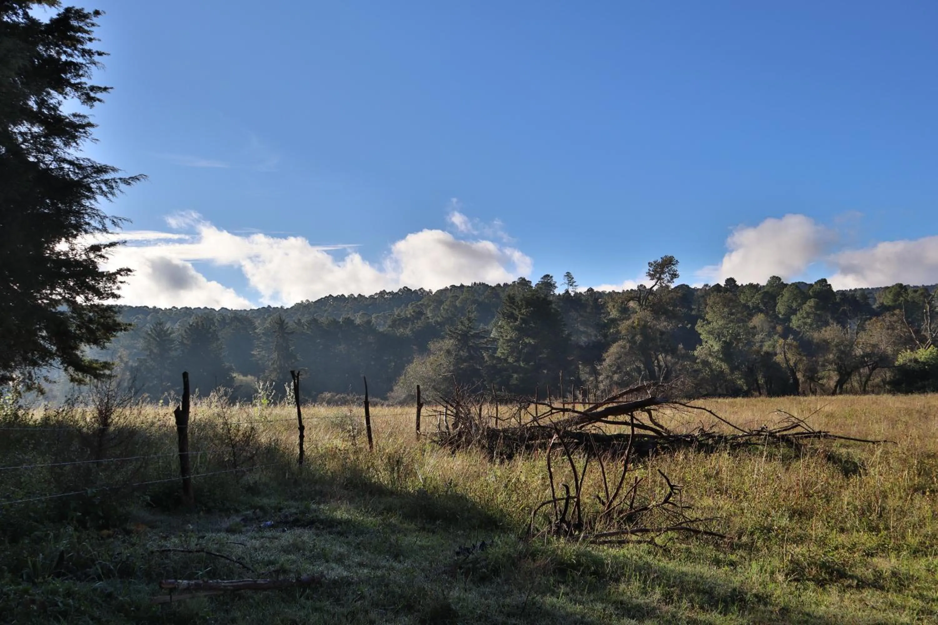 Natural landscape in MASIA ARAMENI