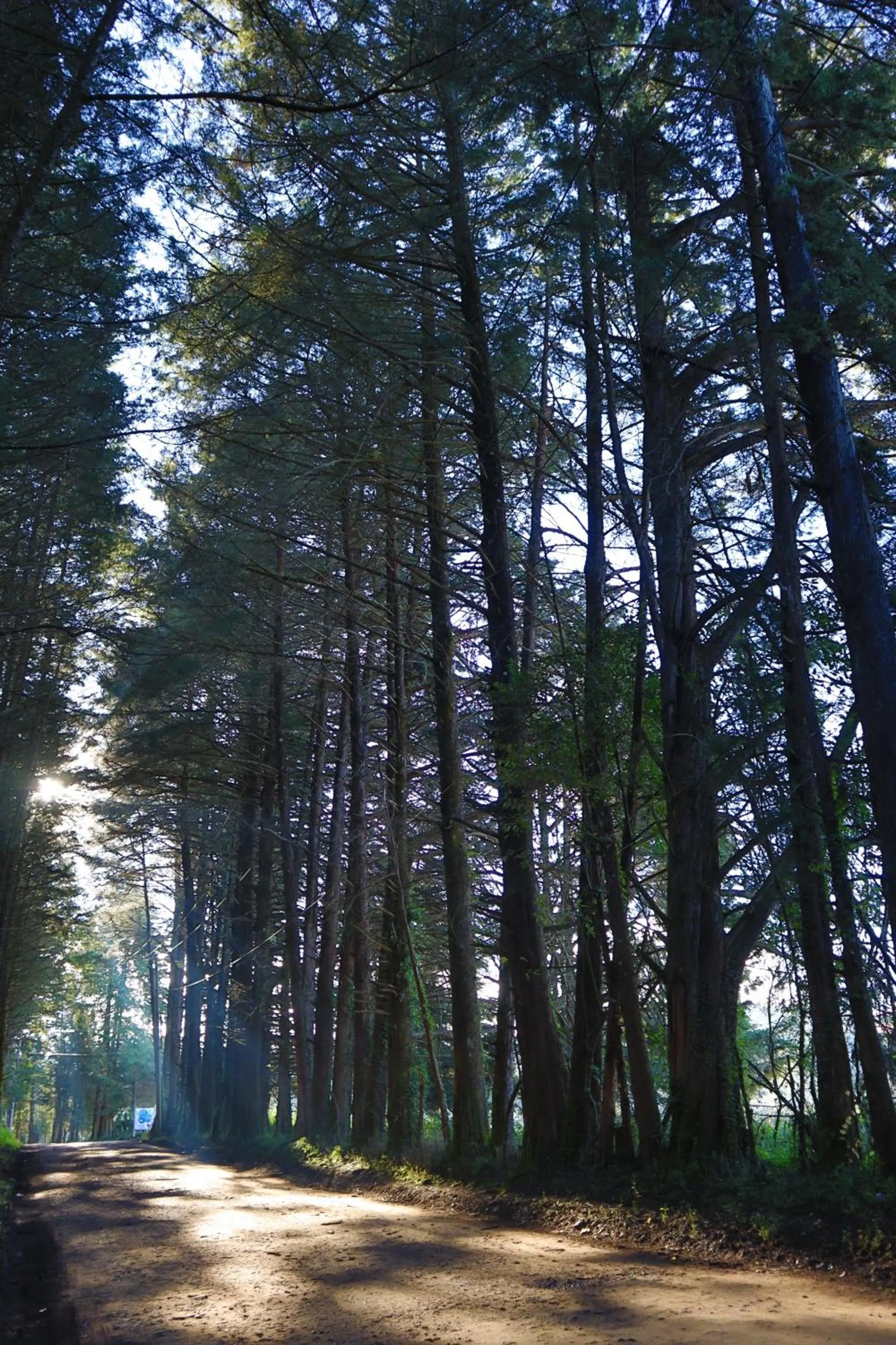 Natural landscape in MASIA ARAMENI