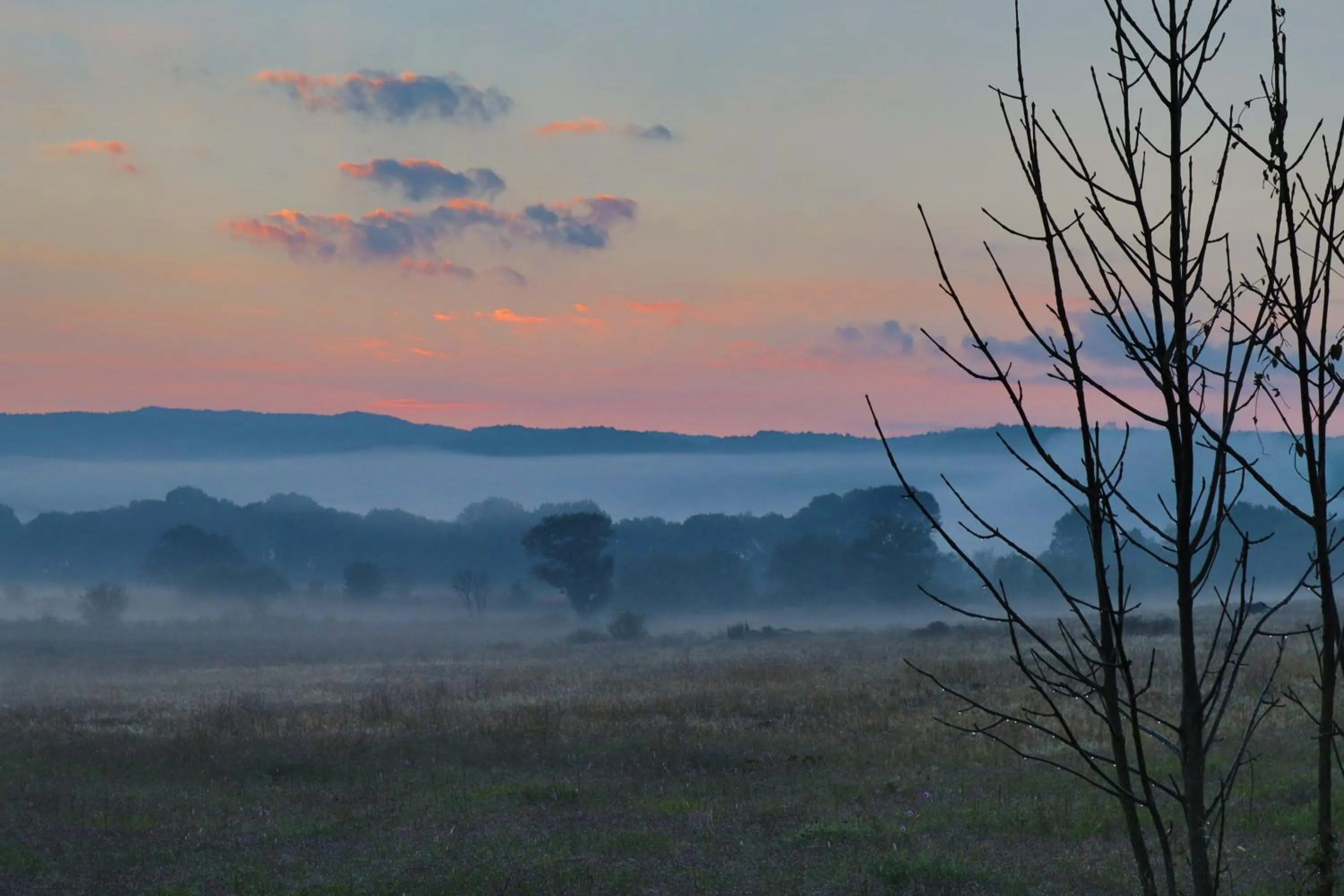 Natural landscape in MASIA ARAMENI