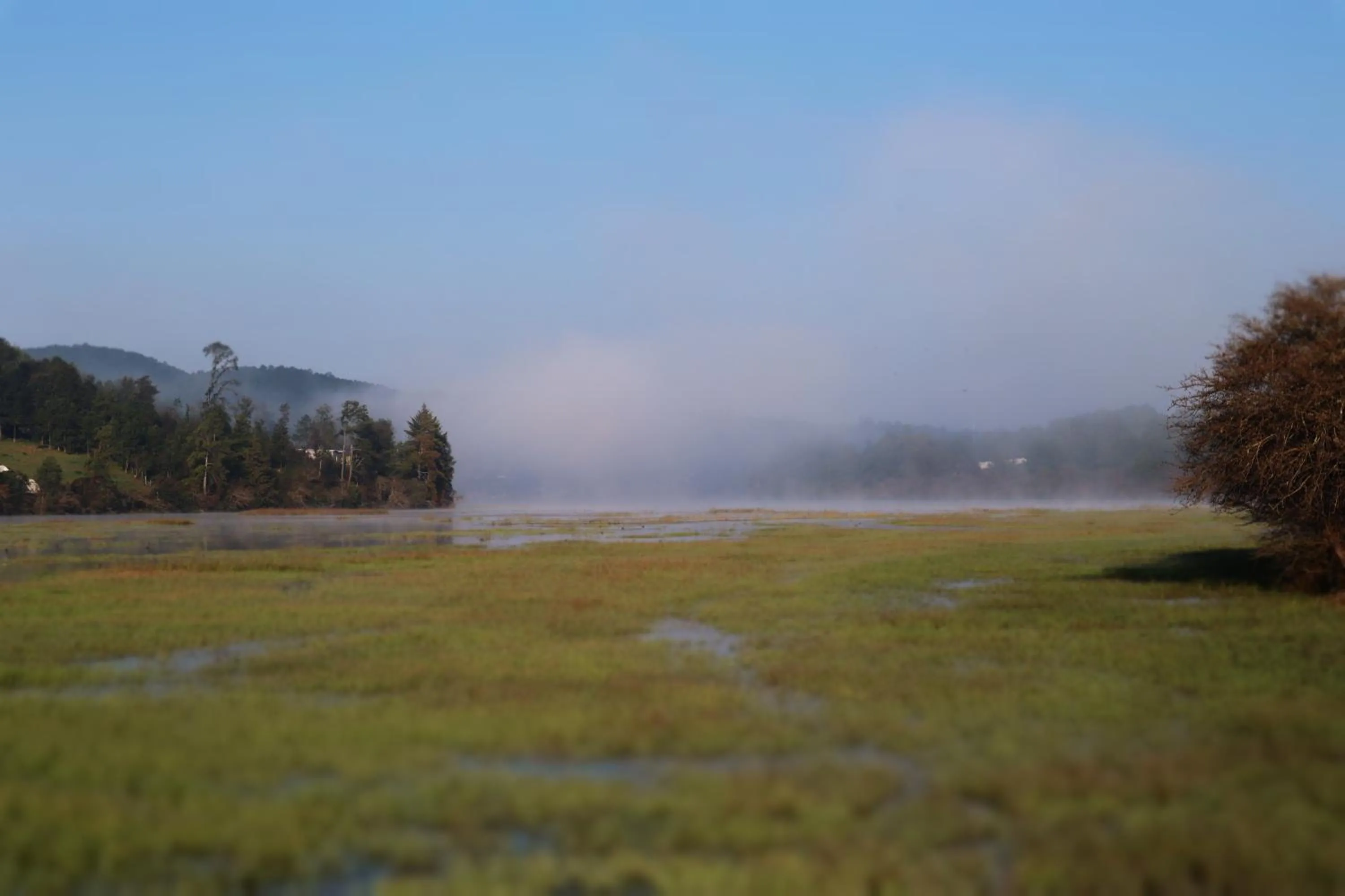 Natural landscape in MASIA ARAMENI