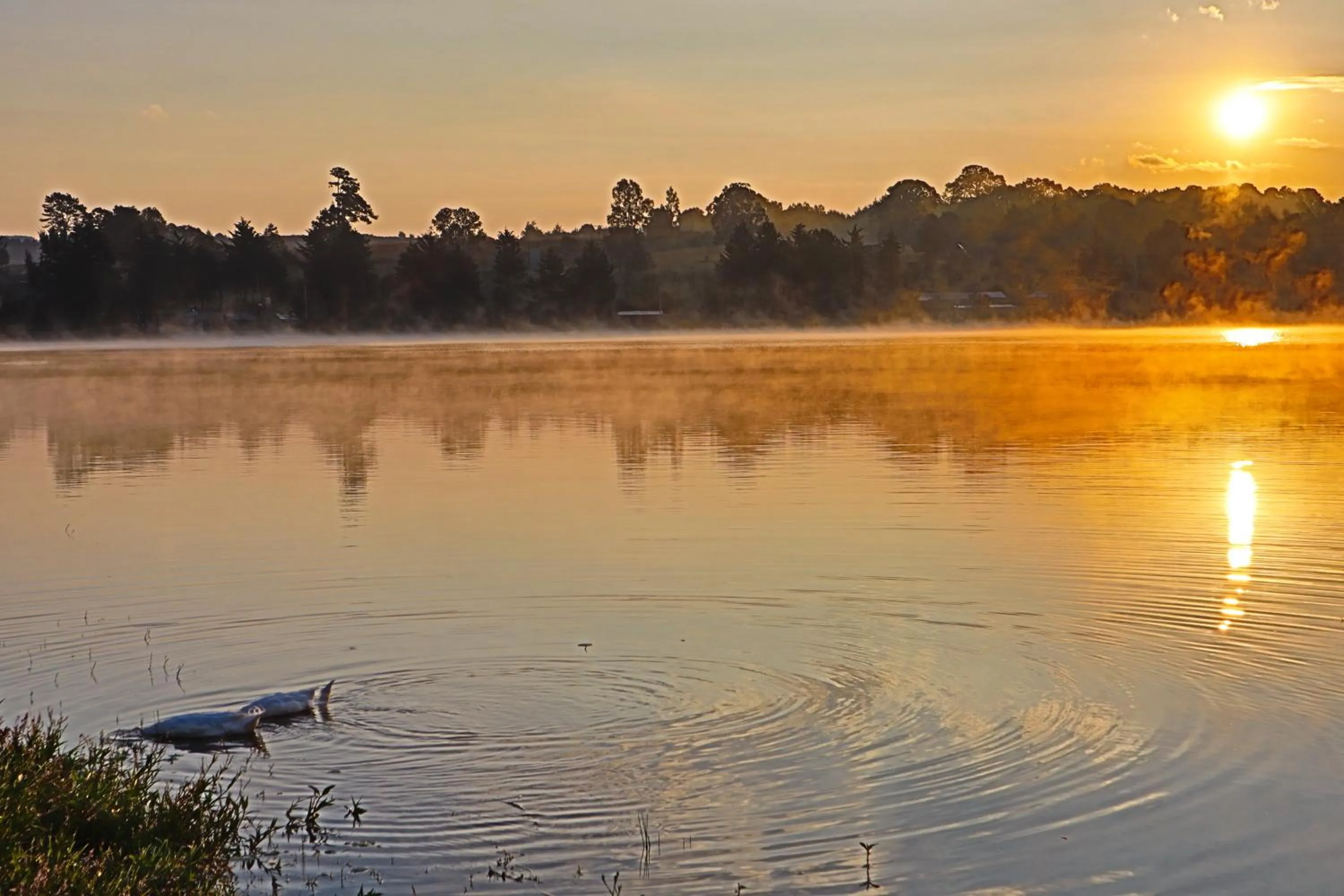 Natural landscape in MASIA ARAMENI