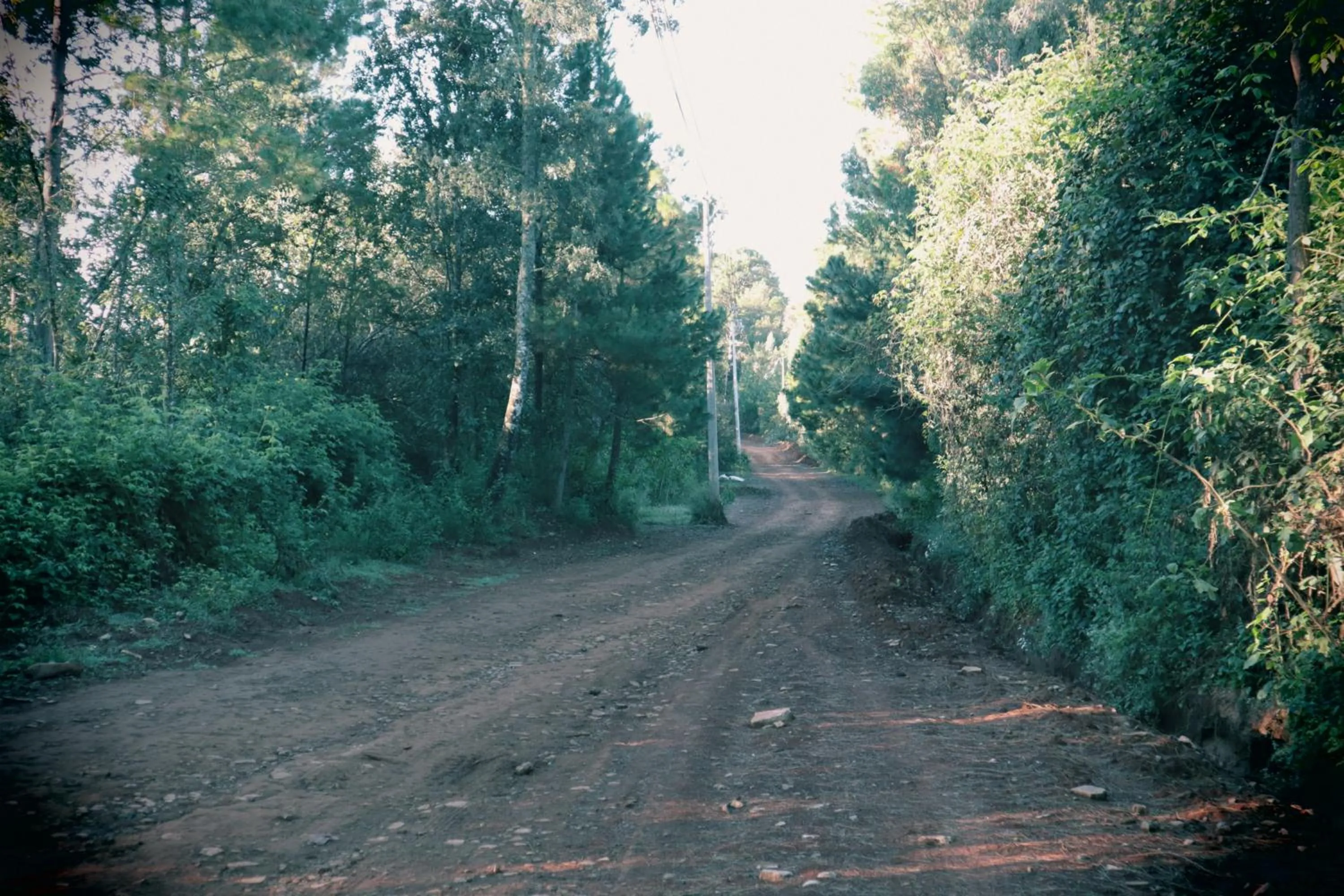 Natural landscape in MASIA ARAMENI