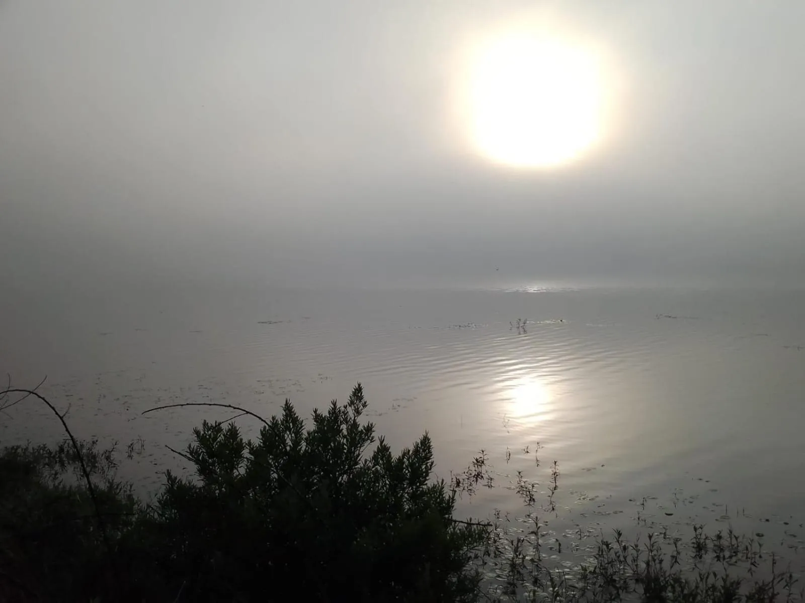 Natural landscape in MASIA ARAMENI