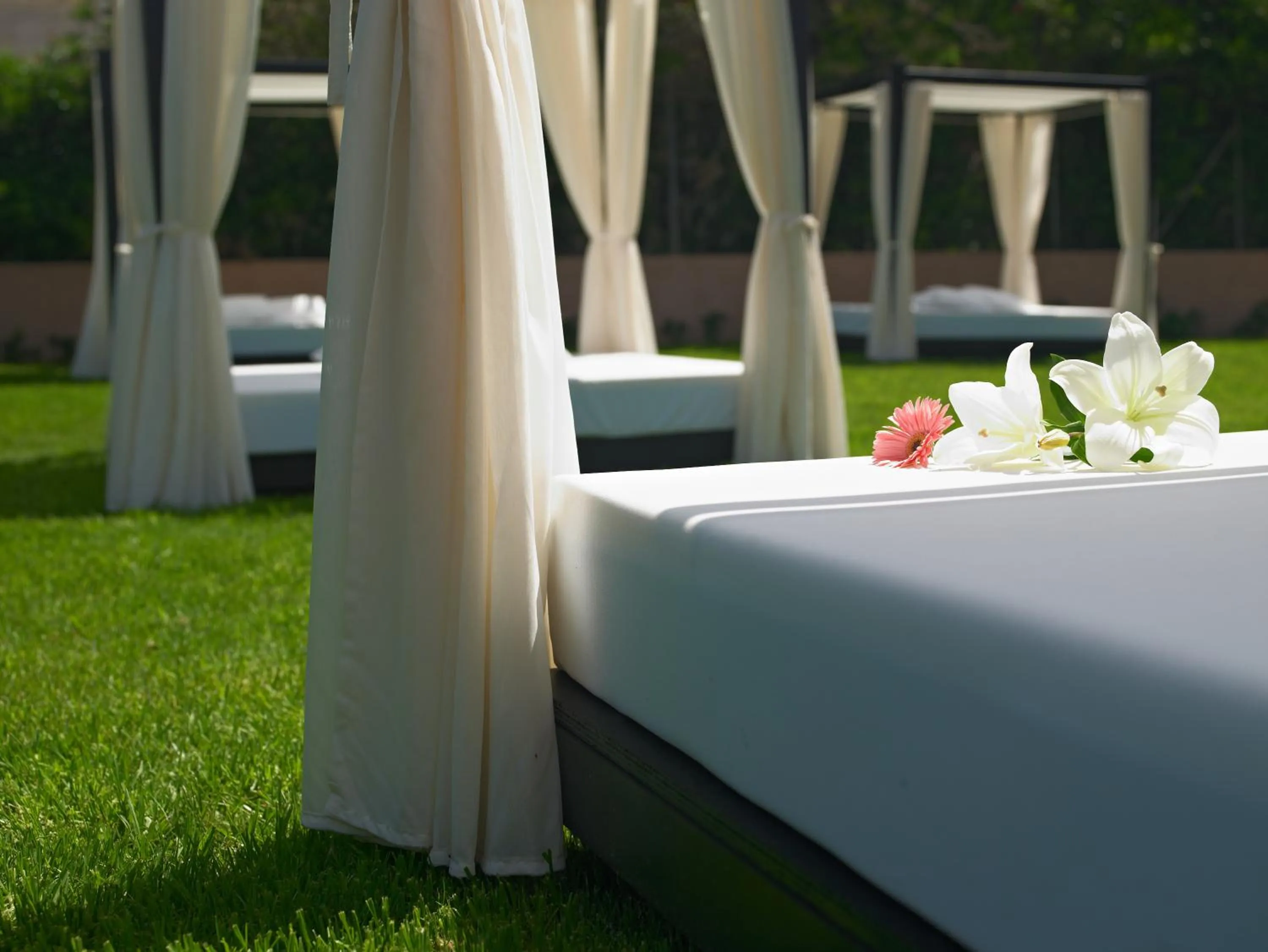 Garden in Protur Turo Pins 4* SUP