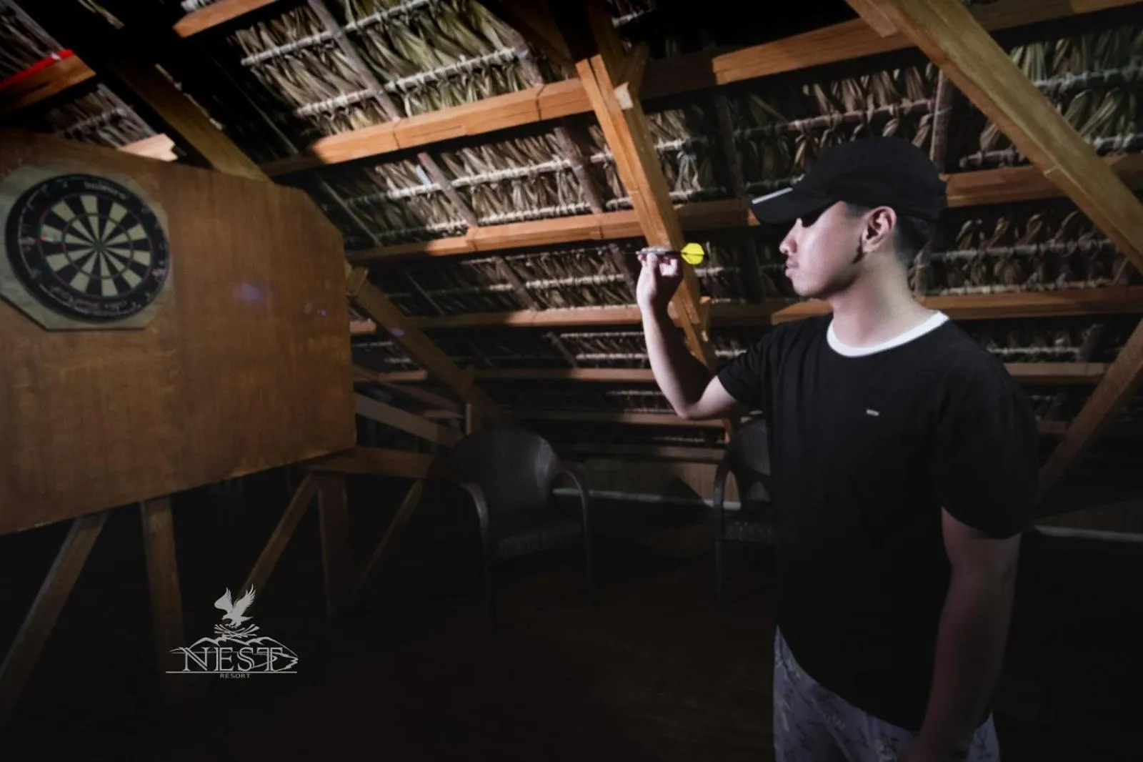 Darts in Nest Resort