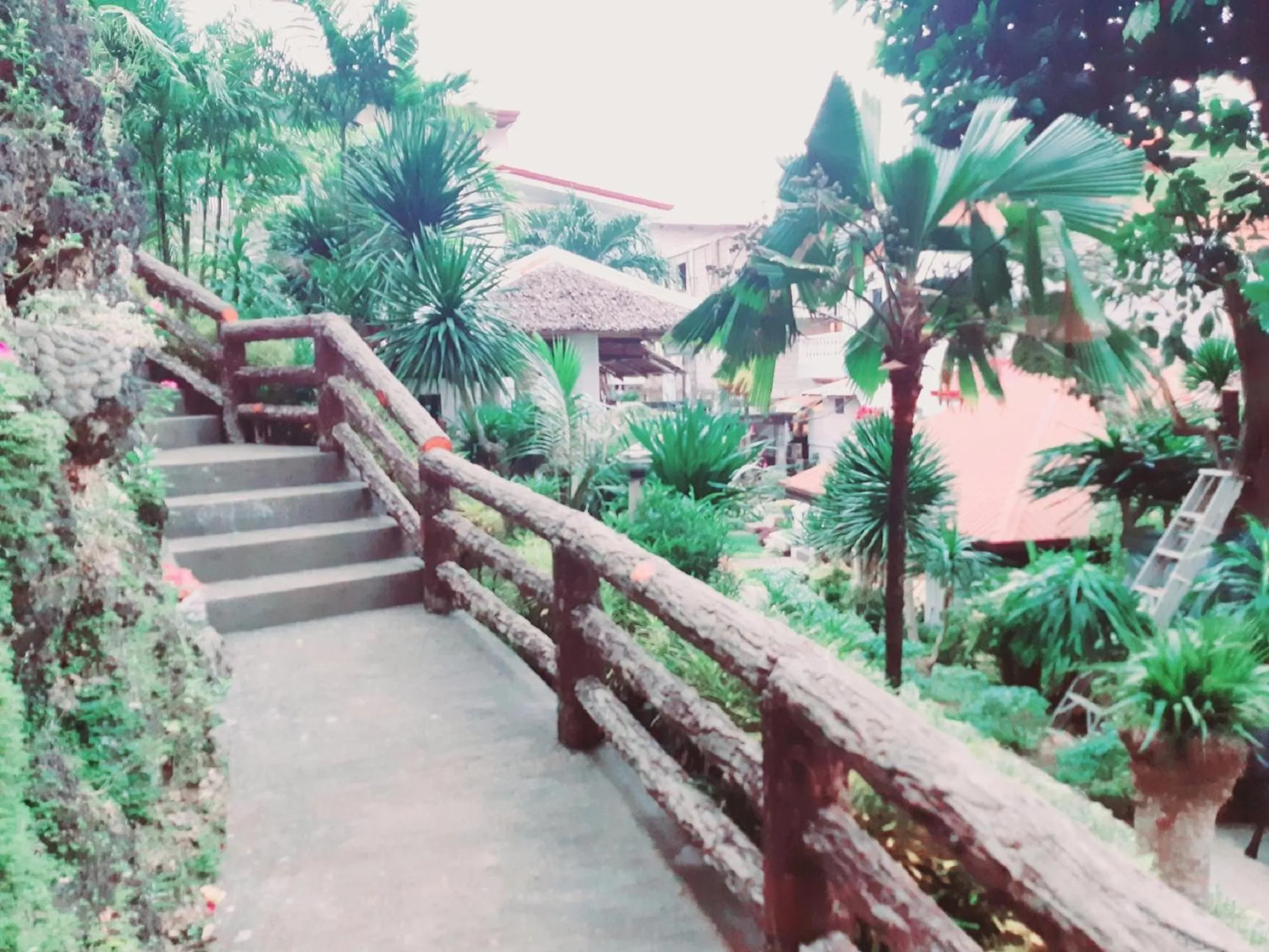 Natural landscape in Avana Hills Boracay Prime Family Suite 101