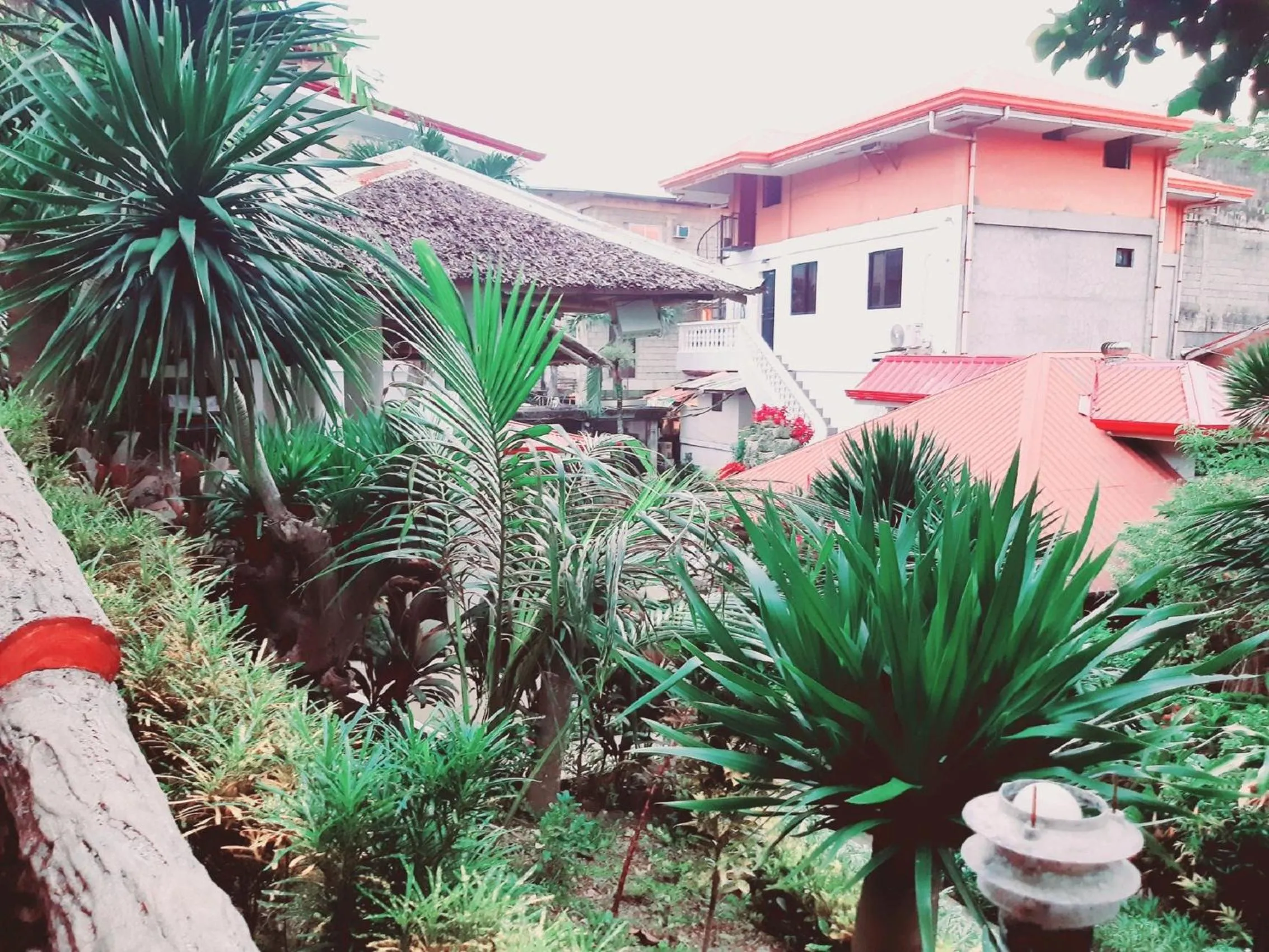 Garden view in Avana Hills Boracay Prime Family Suite 101