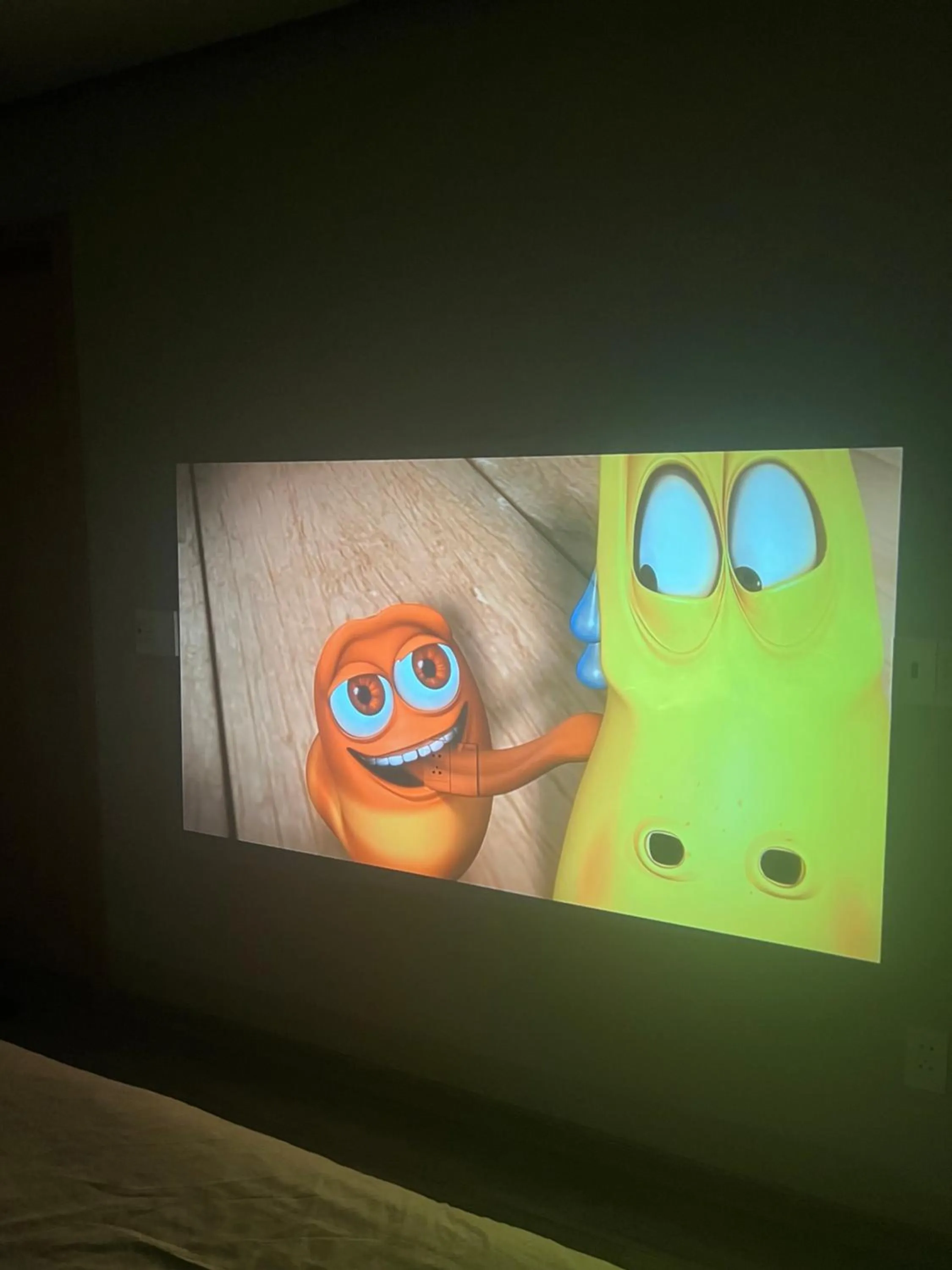 TV and multimedia in Lều Vịt Homestay Hải Phòng