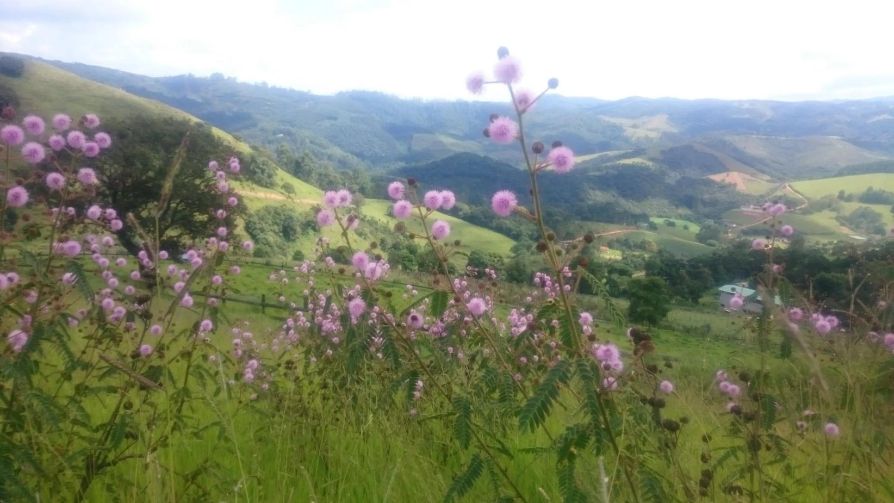 Natural landscape in Montanha Home